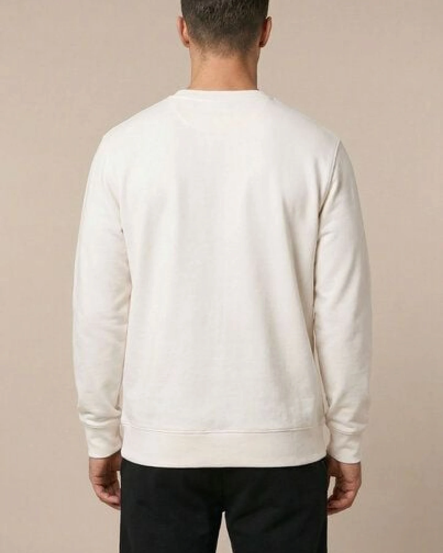THE FACE OF ELEMENTS ELEMENT - REGULAR FIT SWEATSHIRT AUS 100% BIO-BAUMWOLLE – Ansicht 4