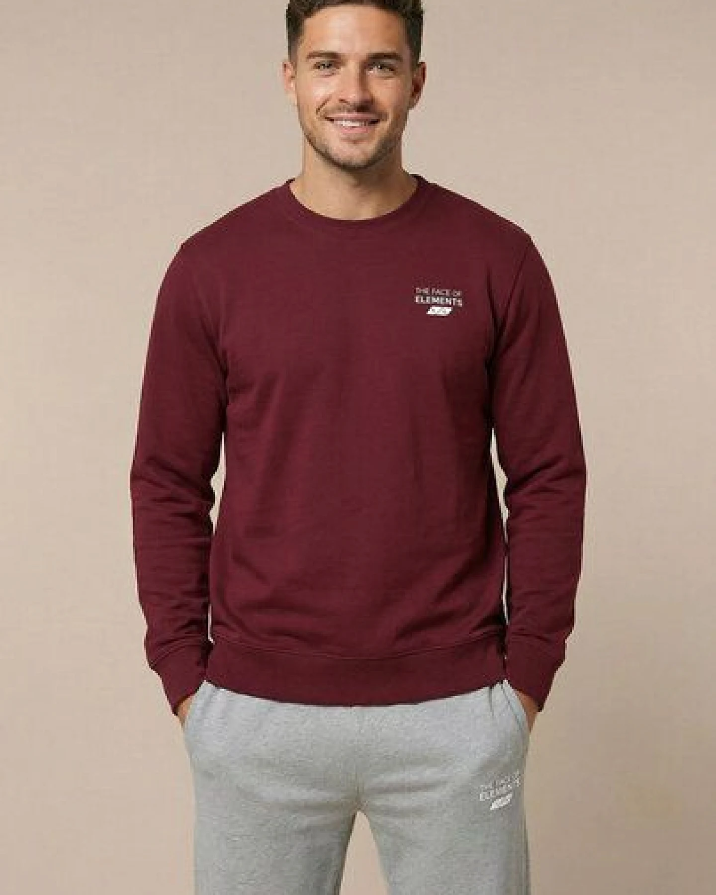 THE FACE OF ELEMENTS ELEMENT - REGULAR FIT SWEATSHIRT AUS 100% BIO-BAUMWOLLE – Ansicht 3
