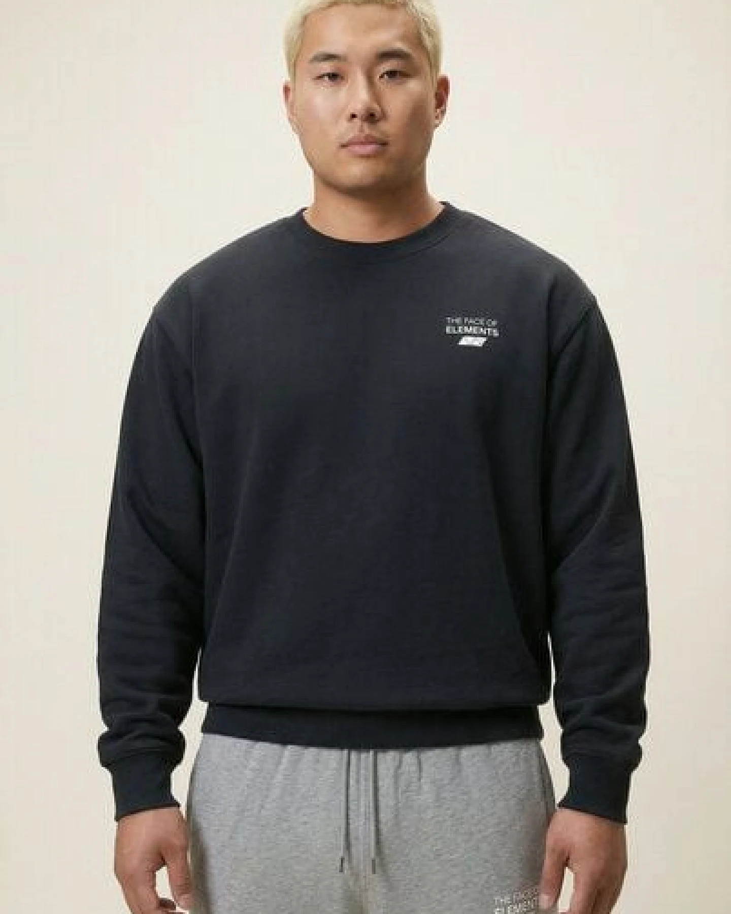 THE FACE OF ELEMENTS ELEMENT - REGULAR FIT SWEATSHIRT AUS 100% BIO-BAUMWOLLE – Ansicht 3