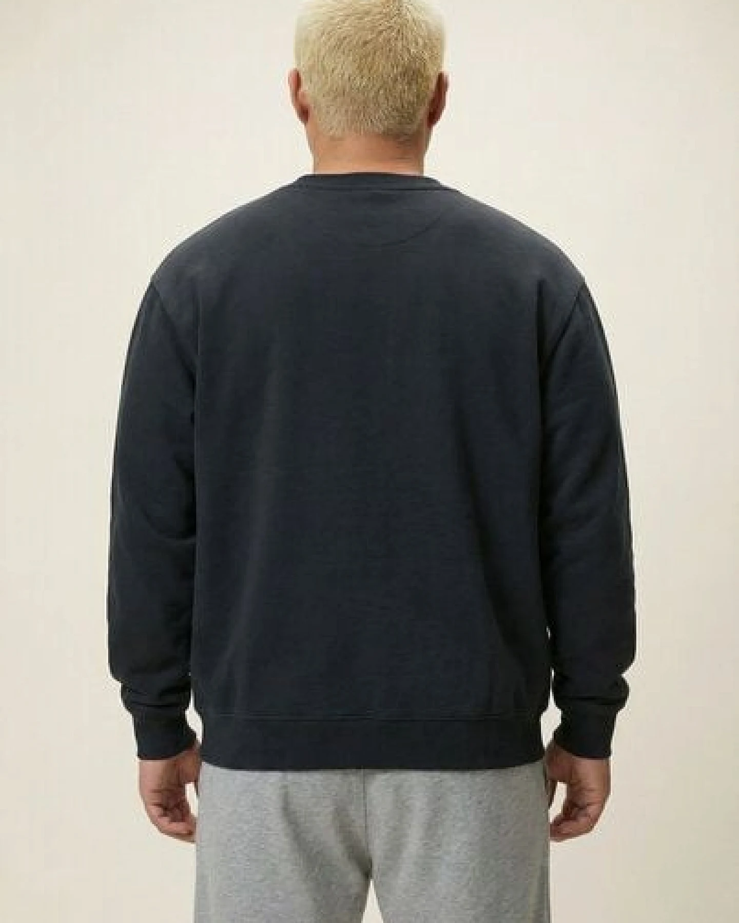 THE FACE OF ELEMENTS ELEMENT - REGULAR FIT SWEATSHIRT AUS 100% BIO-BAUMWOLLE – Ansicht 4