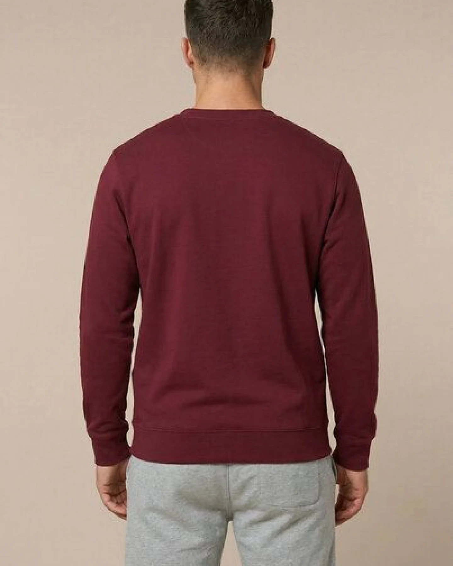 THE FACE OF ELEMENTS ELEMENT - REGULAR FIT SWEATSHIRT AUS 100% BIO-BAUMWOLLE – Ansicht 4