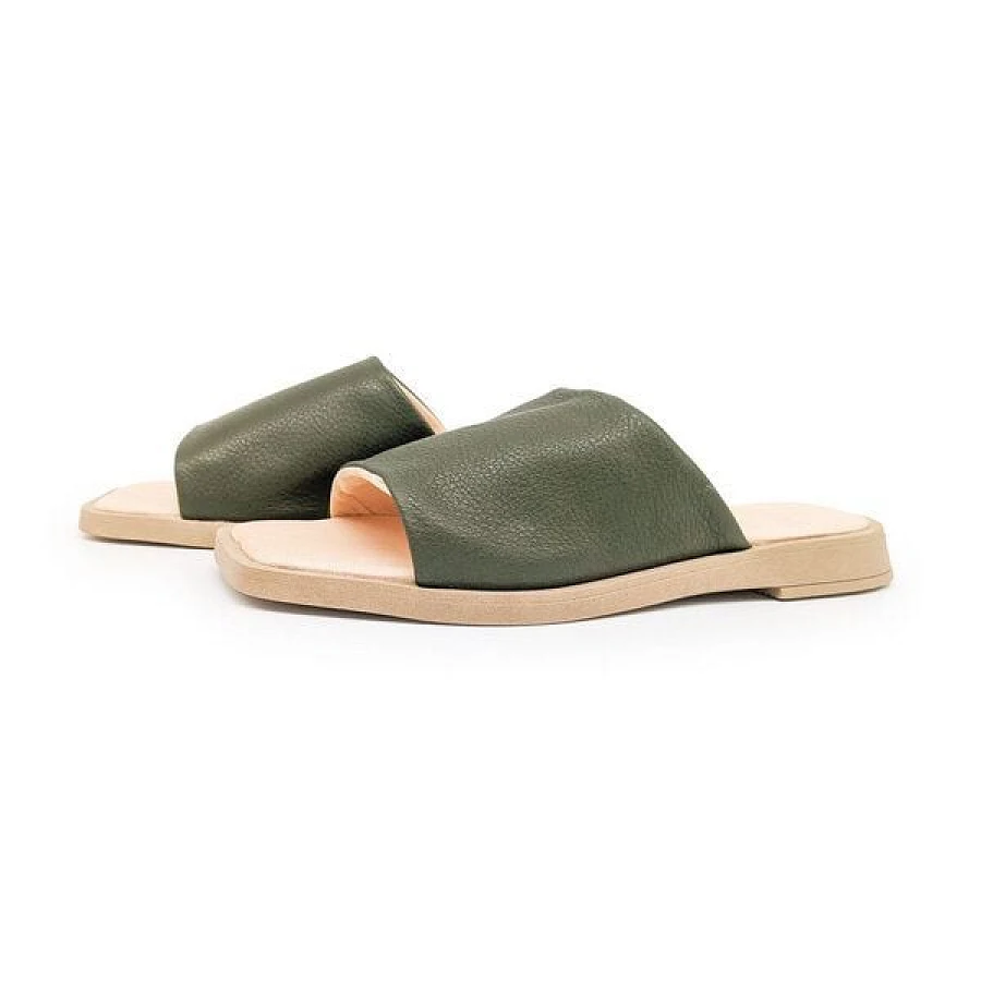 Palmgreen