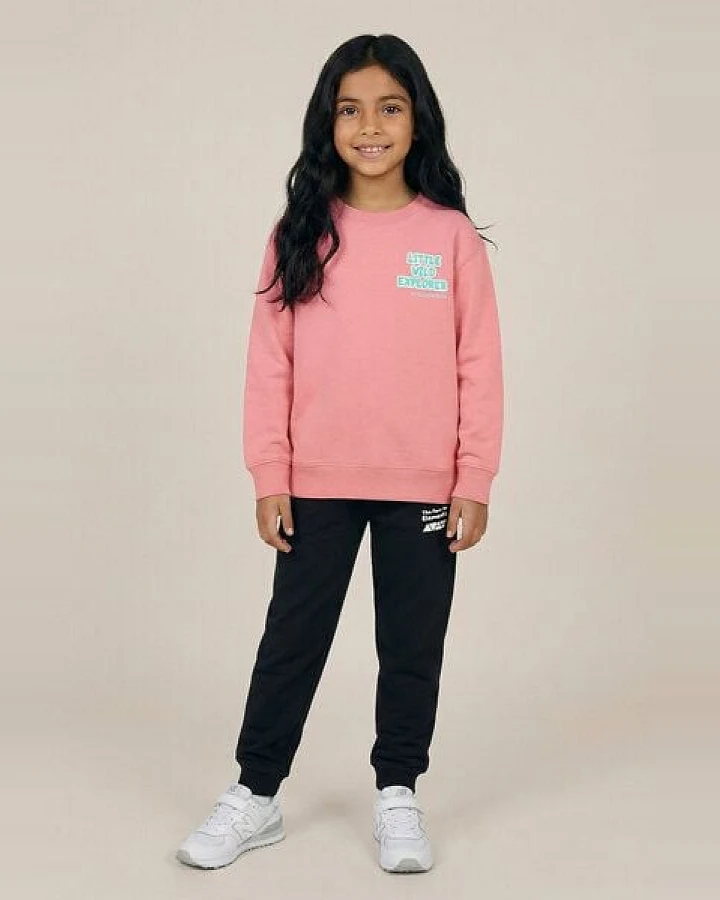 THE FACE OF ELEMENTS LITTLE WILD EXPLORER - RELAXED FIT KIDS SWEATSHIRT AUS 100% BIO-BAUMWOLLE