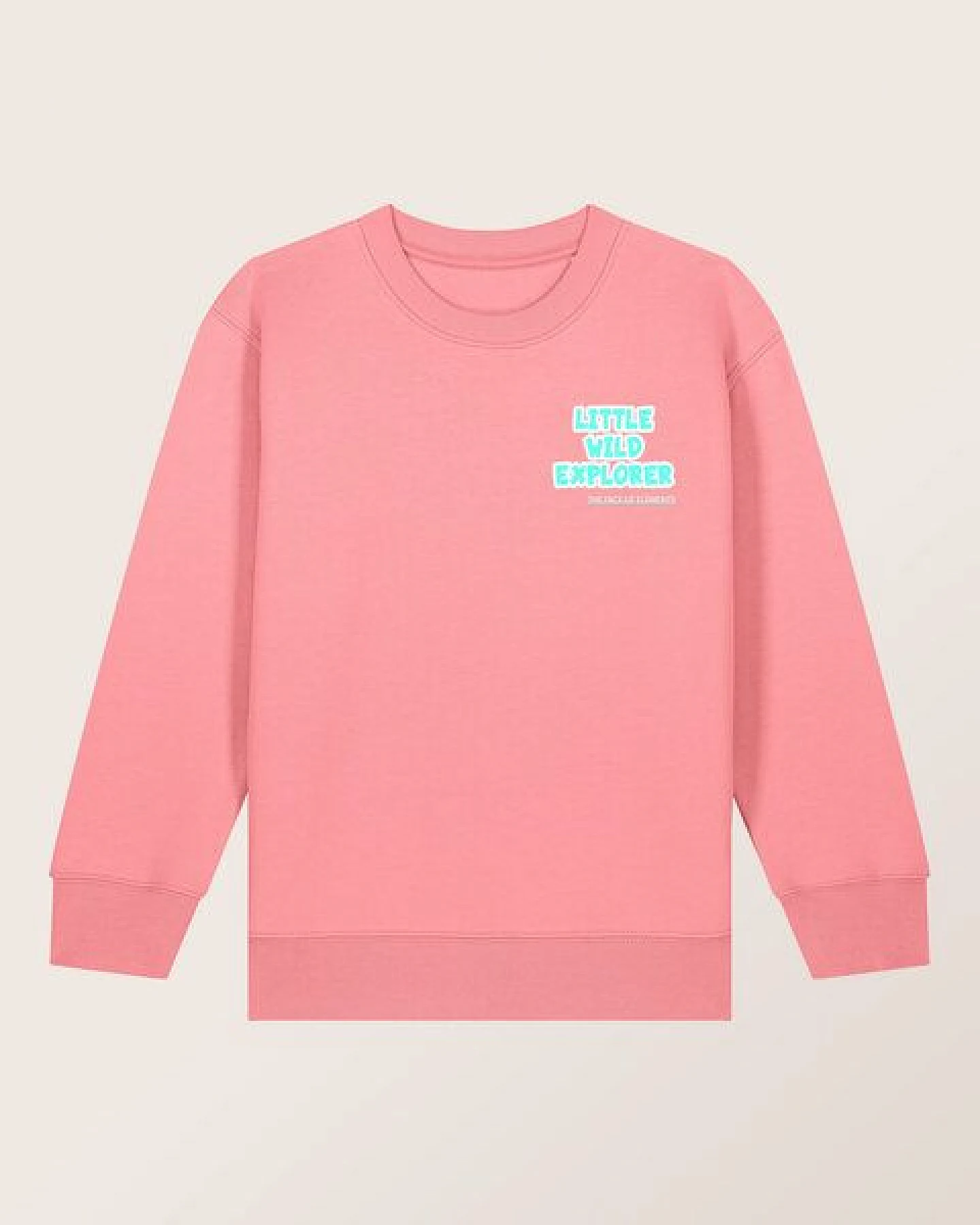 THE FACE OF ELEMENTS LITTLE WILD EXPLORER - RELAXED FIT KIDS SWEATSHIRT AUS 100% BIO-BAUMWOLLE – Ansicht 4