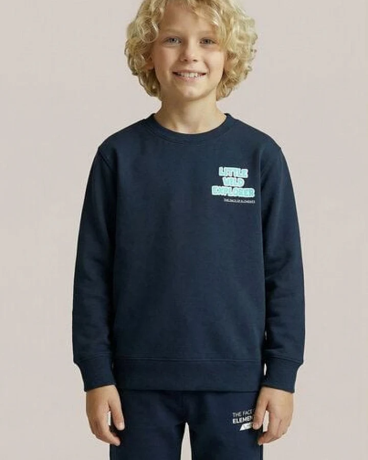 THE FACE OF ELEMENTS LITTLE WILD EXPLORER - RELAXED FIT KIDS SWEATSHIRT AUS 100% BIO-BAUMWOLLE