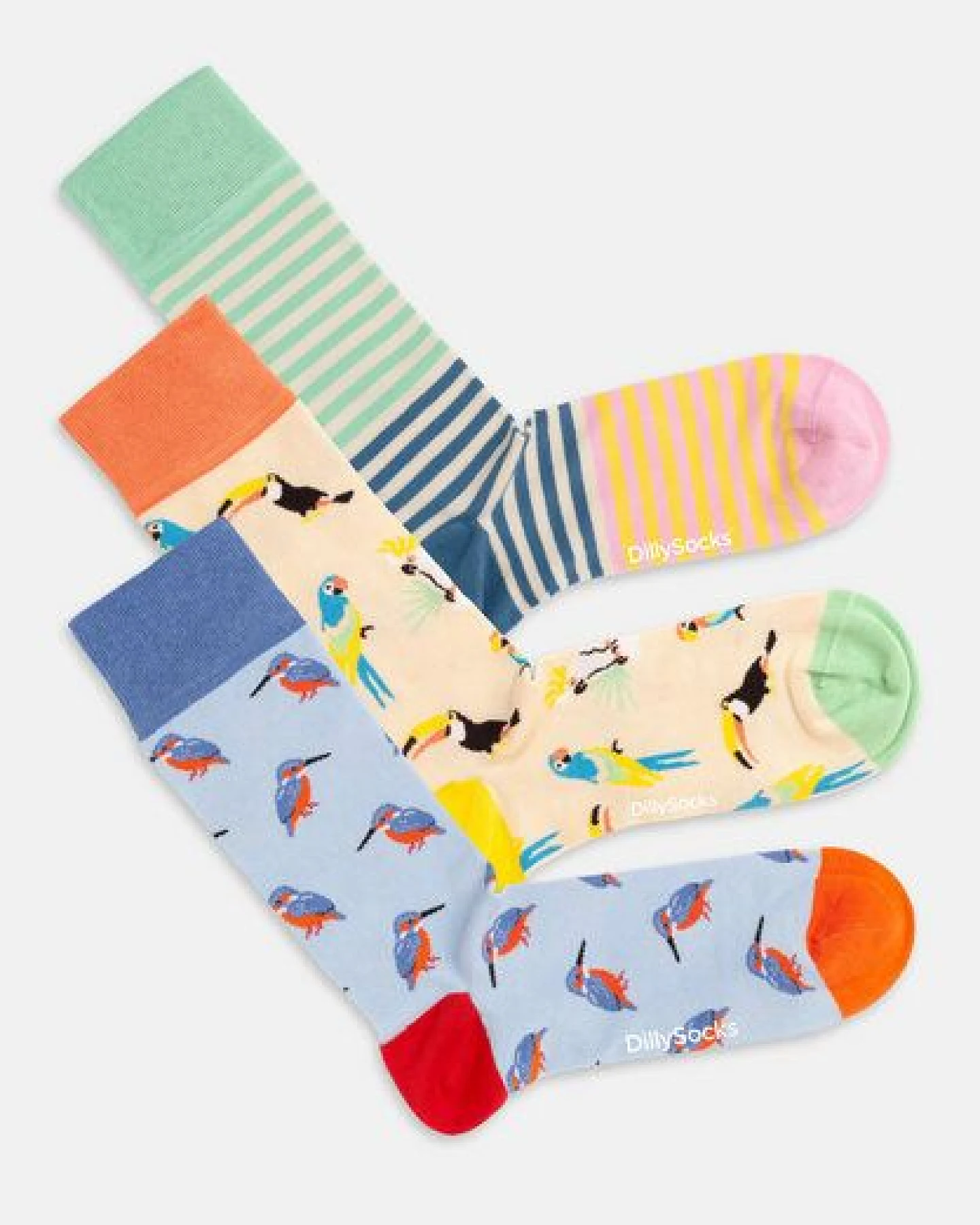 DillySocks Socken „Kingfisher Paradise“ – Ansicht 3