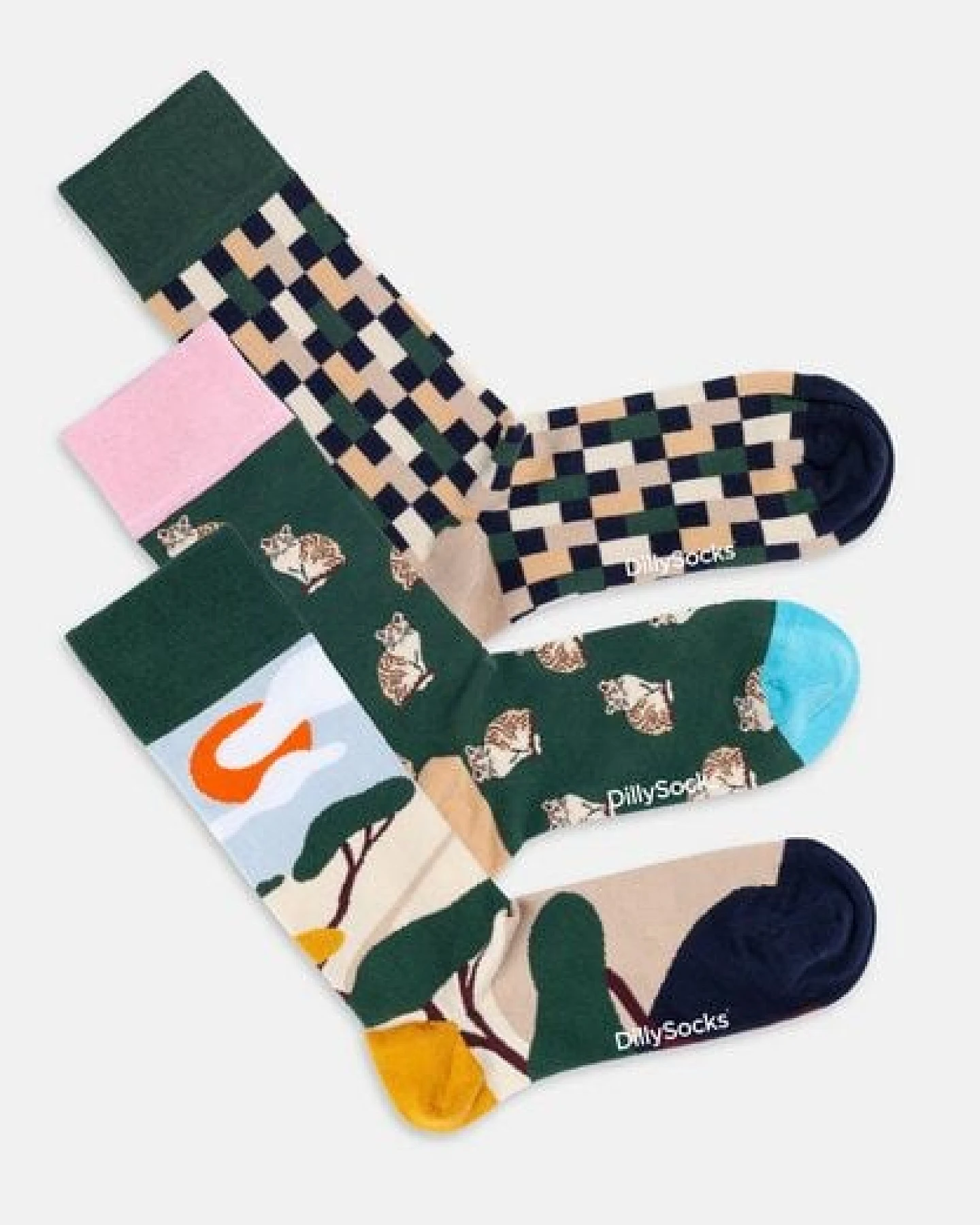 DillySocks Socken „Prairie Diary“ – Ansicht 3