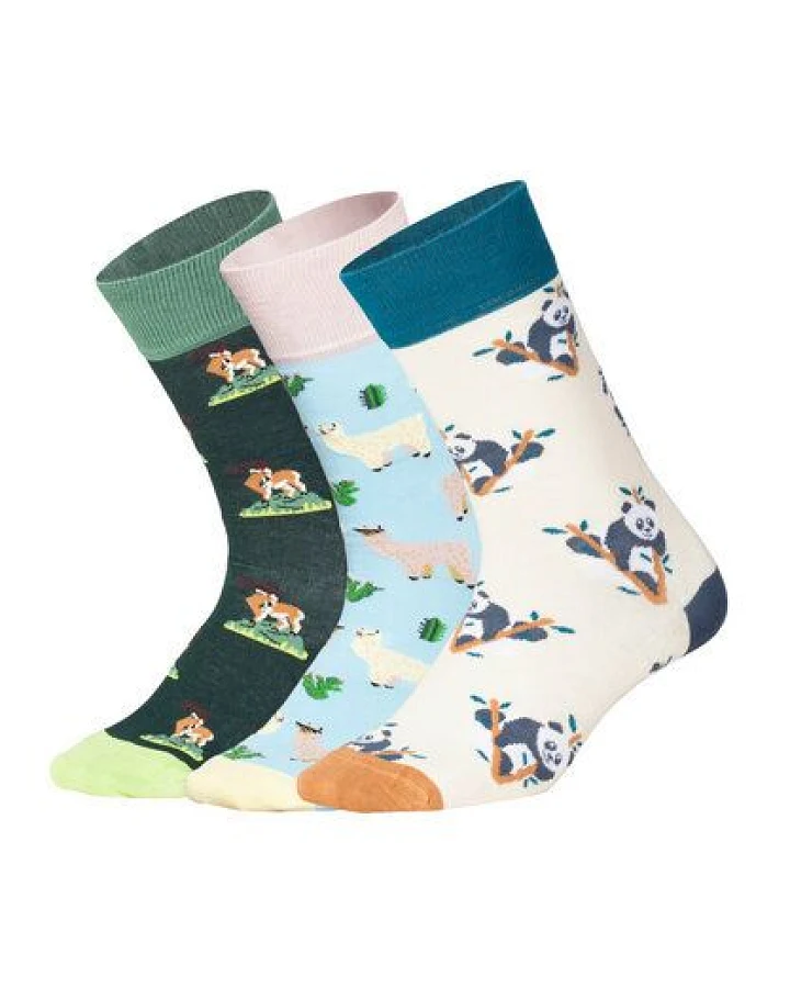 DillySocks Socken „Animal Adventures (3er Box)“