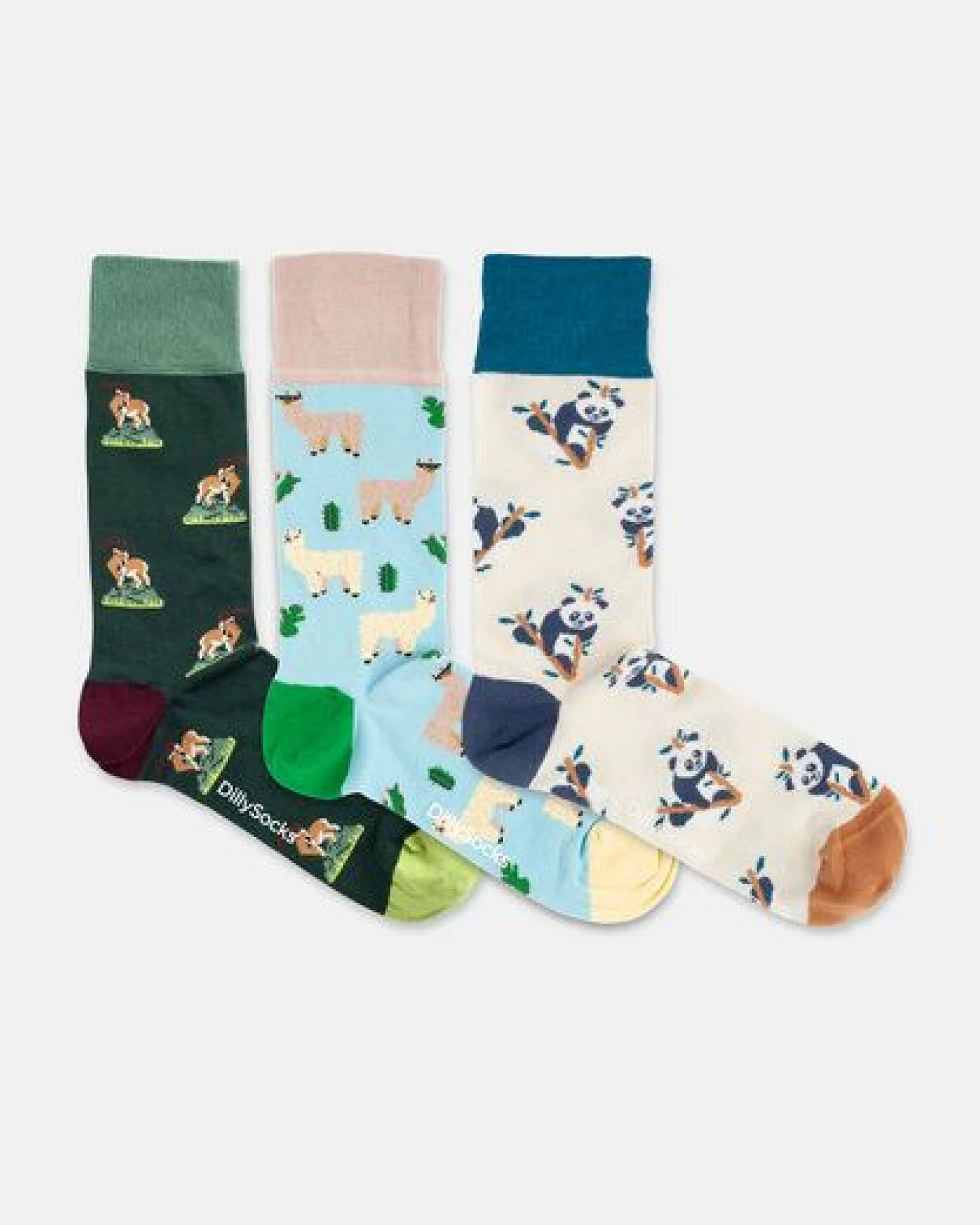 DillySocks Socken „Animal Adventures (3er Box)“ – Ansicht 4