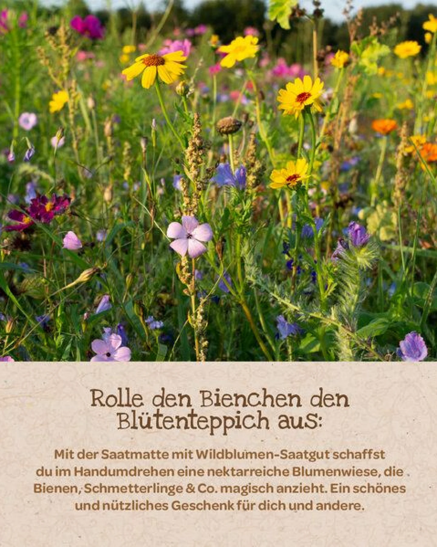Die Stadtgärtner Bienenwohl - Blütenteppich - Bienenwohl - Geschenk und Geschenkidee Gärtner – Ansicht 3