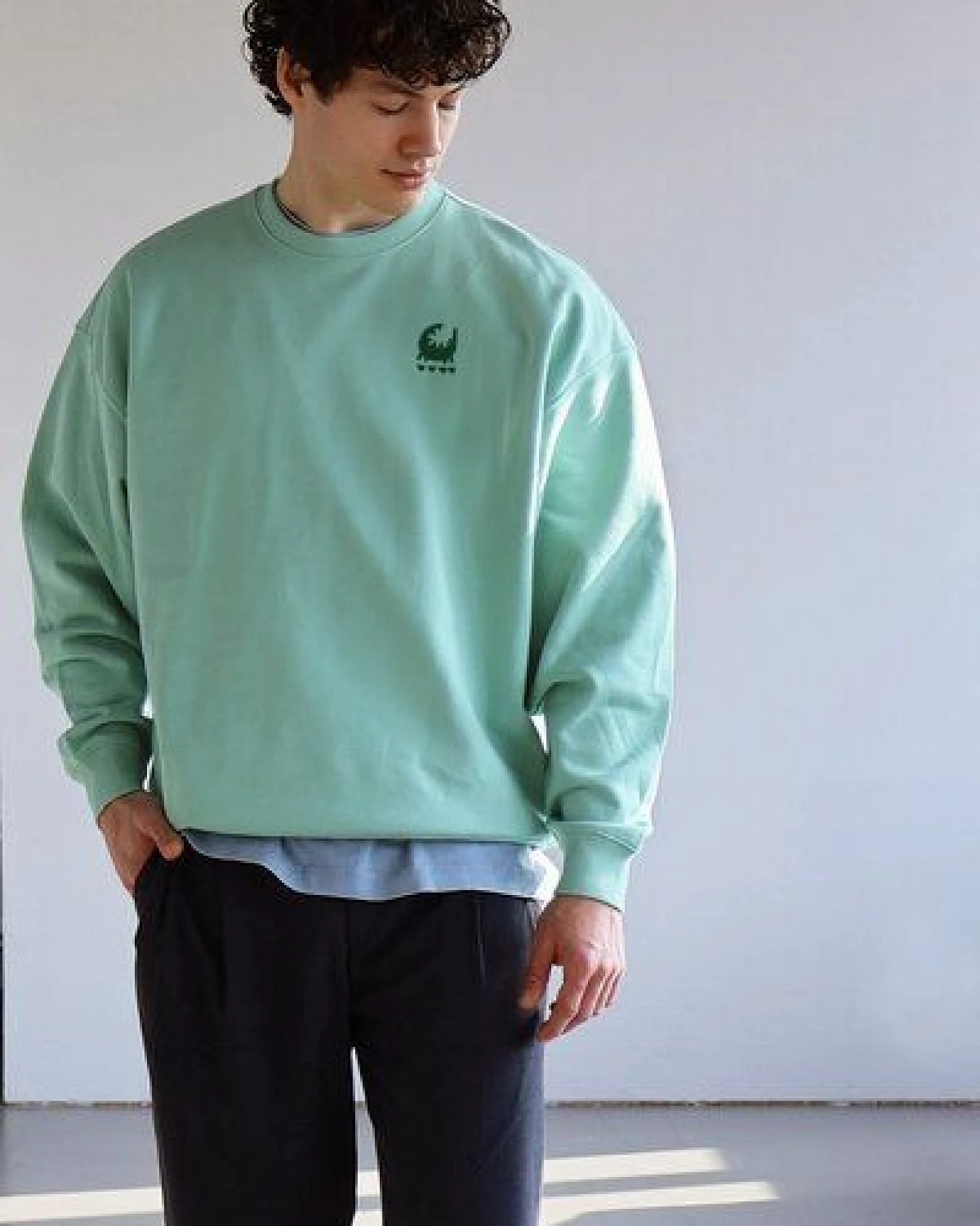 Kultgut ProPlanet - Artdesign - Biofair Sweatpullover / an ordinary crocodile – Ansicht 2