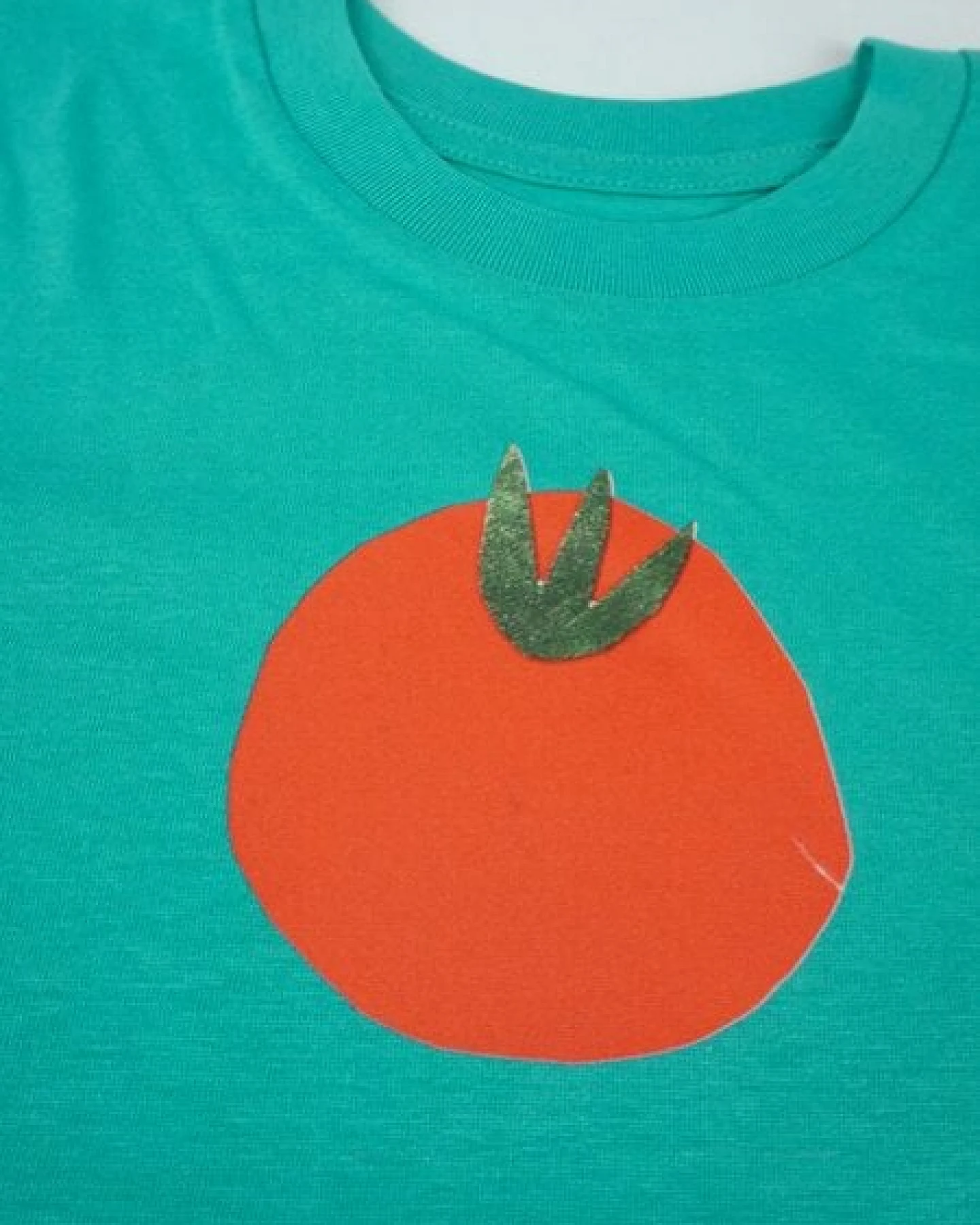 Meladi Kinder Shirt aus Biobaumwolle - Tomate auf Meadow Green – Ansicht 4