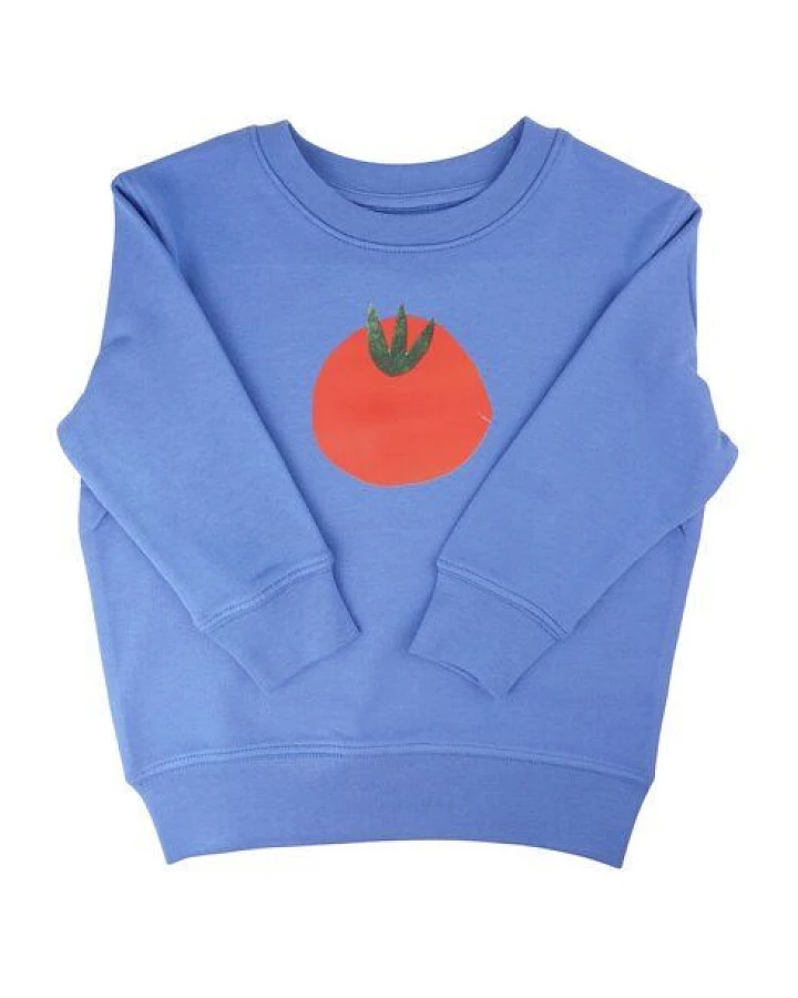 Meladi Kinder Sweater aus Biobaumwolle - Tomate auf Aqua Blue
