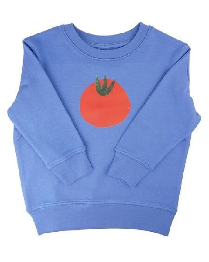 Meladi Kinder Sweater aus Biobaumwolle - Tomate auf Aqua Blue