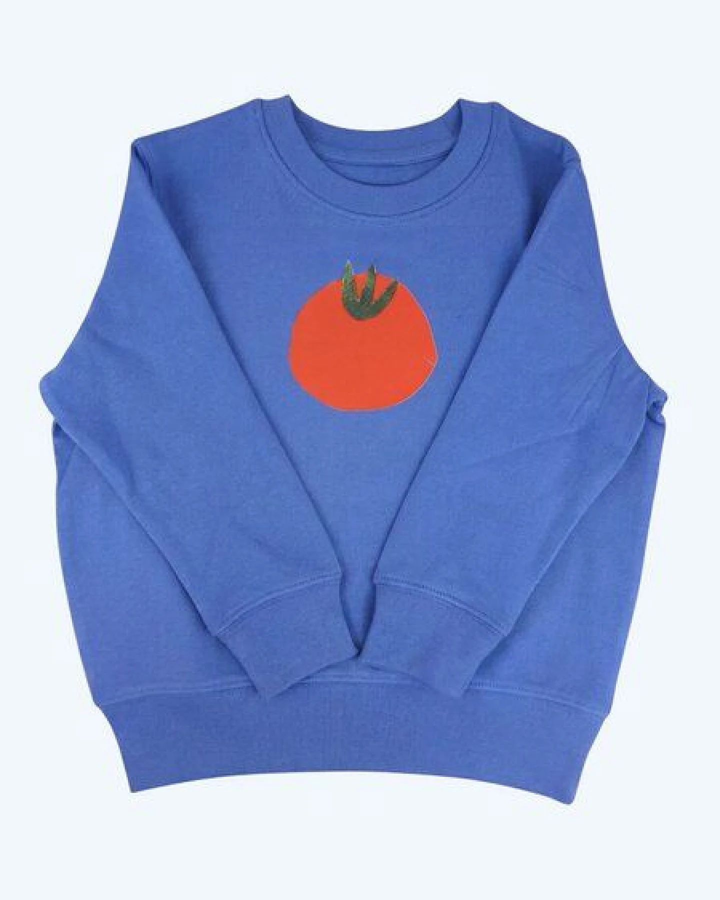 MELAdi Kinder Sweater aus Biobaumwolle - Tomate auf Aqua Blue – Ansicht 2