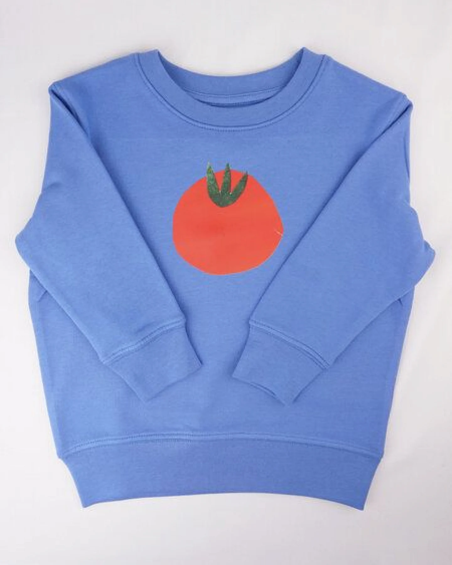 Meladi Kinder Sweater aus Biobaumwolle - Tomate auf Aqua Blue – Ansicht 2