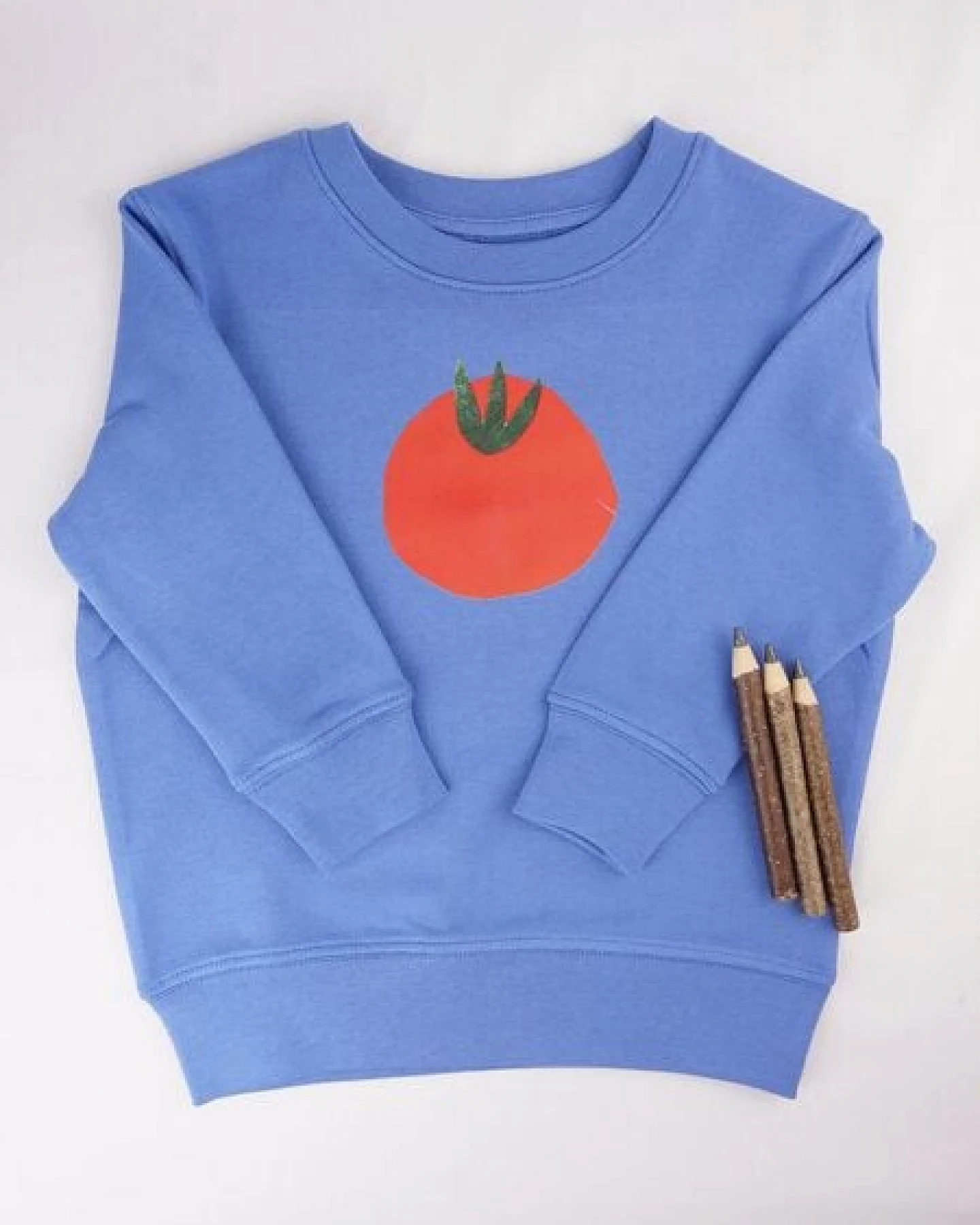 Meladi Kinder Sweater aus Biobaumwolle - Tomate auf Aqua Blue – Ansicht 3
