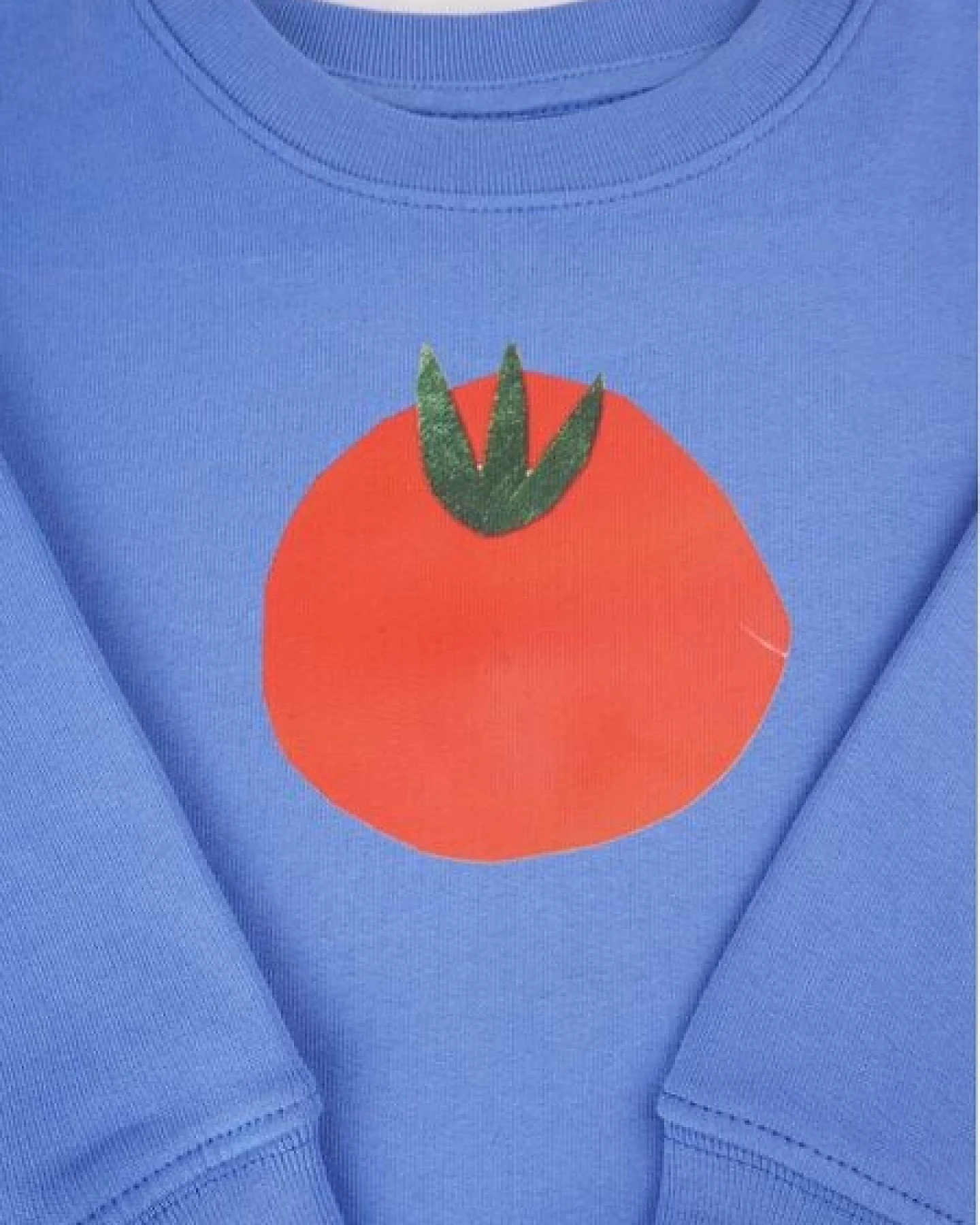 Meladi Kinder Sweater aus Biobaumwolle - Tomate auf Aqua Blue – Ansicht 4