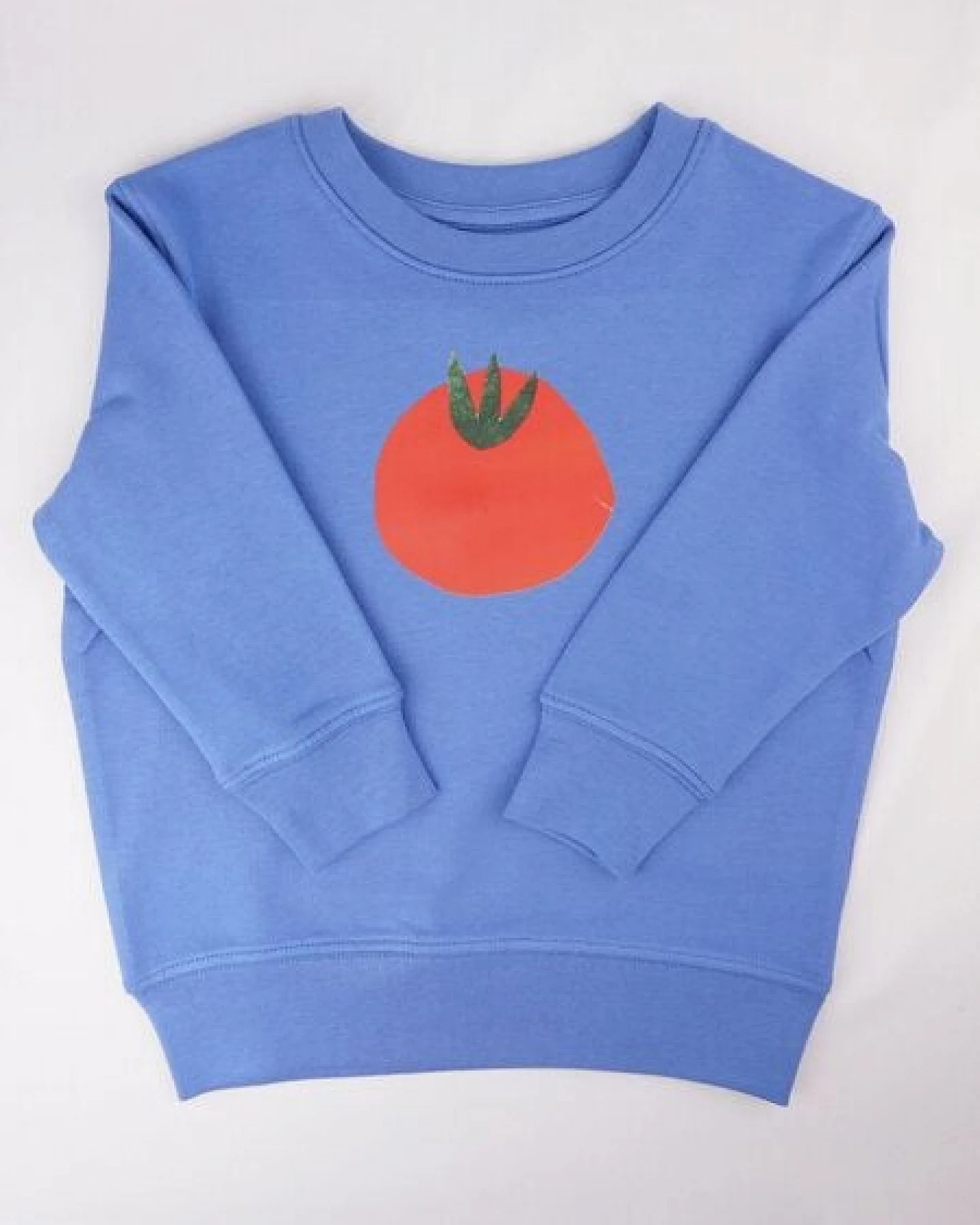 Meladi Kinder Sweater aus Biobaumwolle - Tomate auf Aqua Blue – Ansicht 2