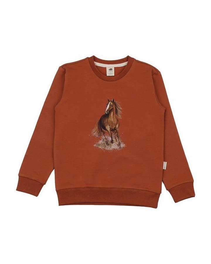 Sweatshirt Terracotta Pferde-Motiv platzierter Print Bio-Baumwolle GOTS – Walkiddy