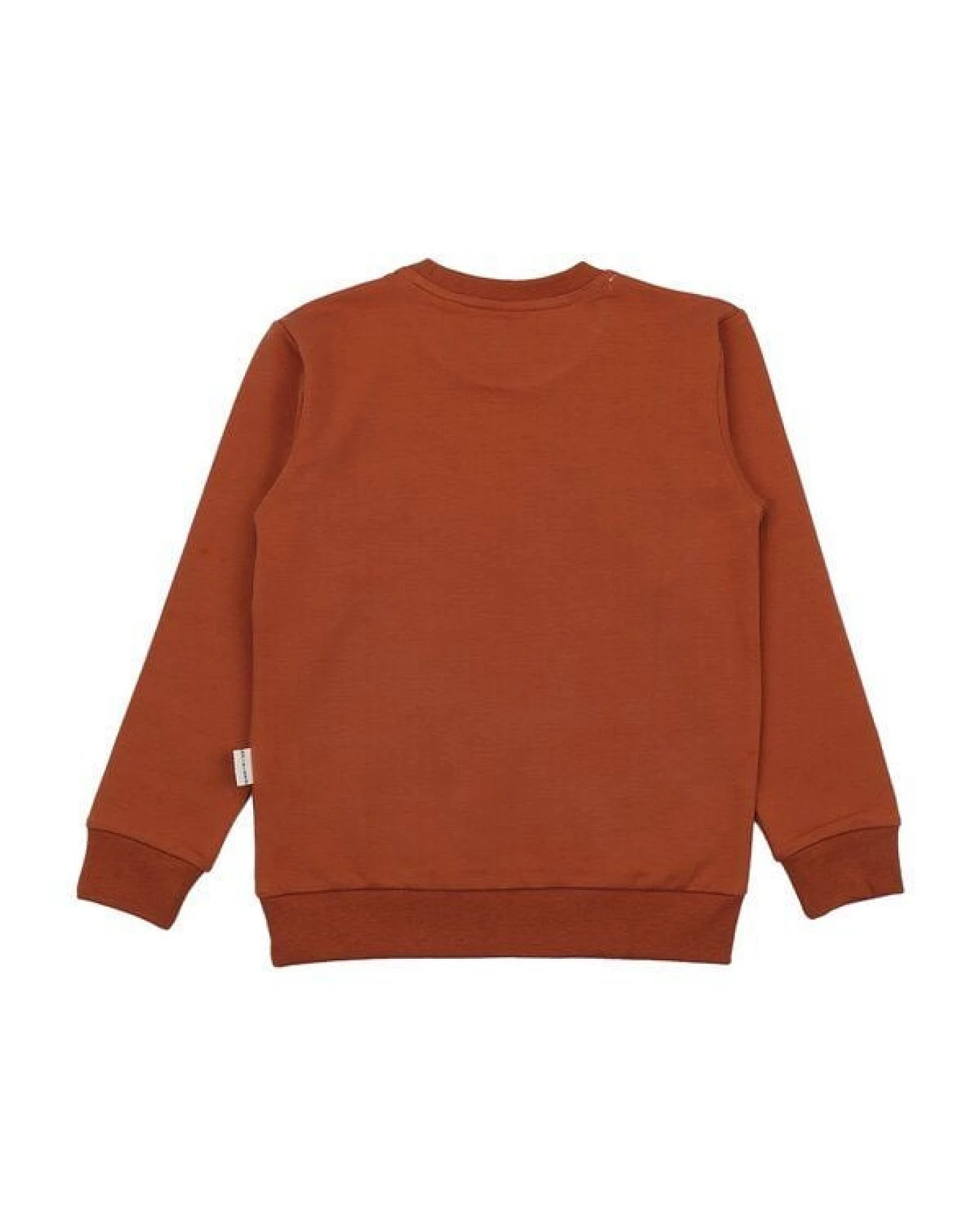 Sweatshirt Terracotta Pferde-Motiv platzierter Print Bio-Baumwolle GOTS – Walkiddy – Ansicht 4