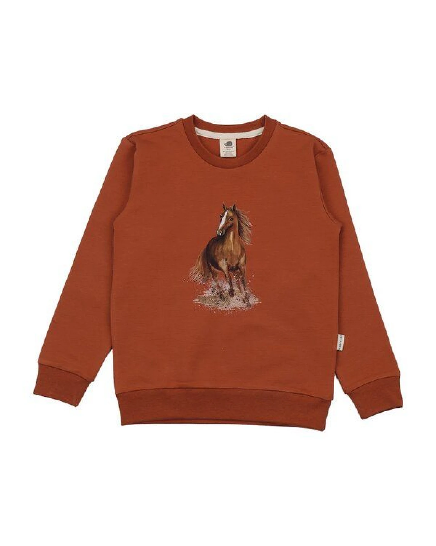 Sweatshirt Terracotta Pferde-Motiv platzierter Print Bio-Baumwolle GOTS – Walkiddy – Ansicht 2