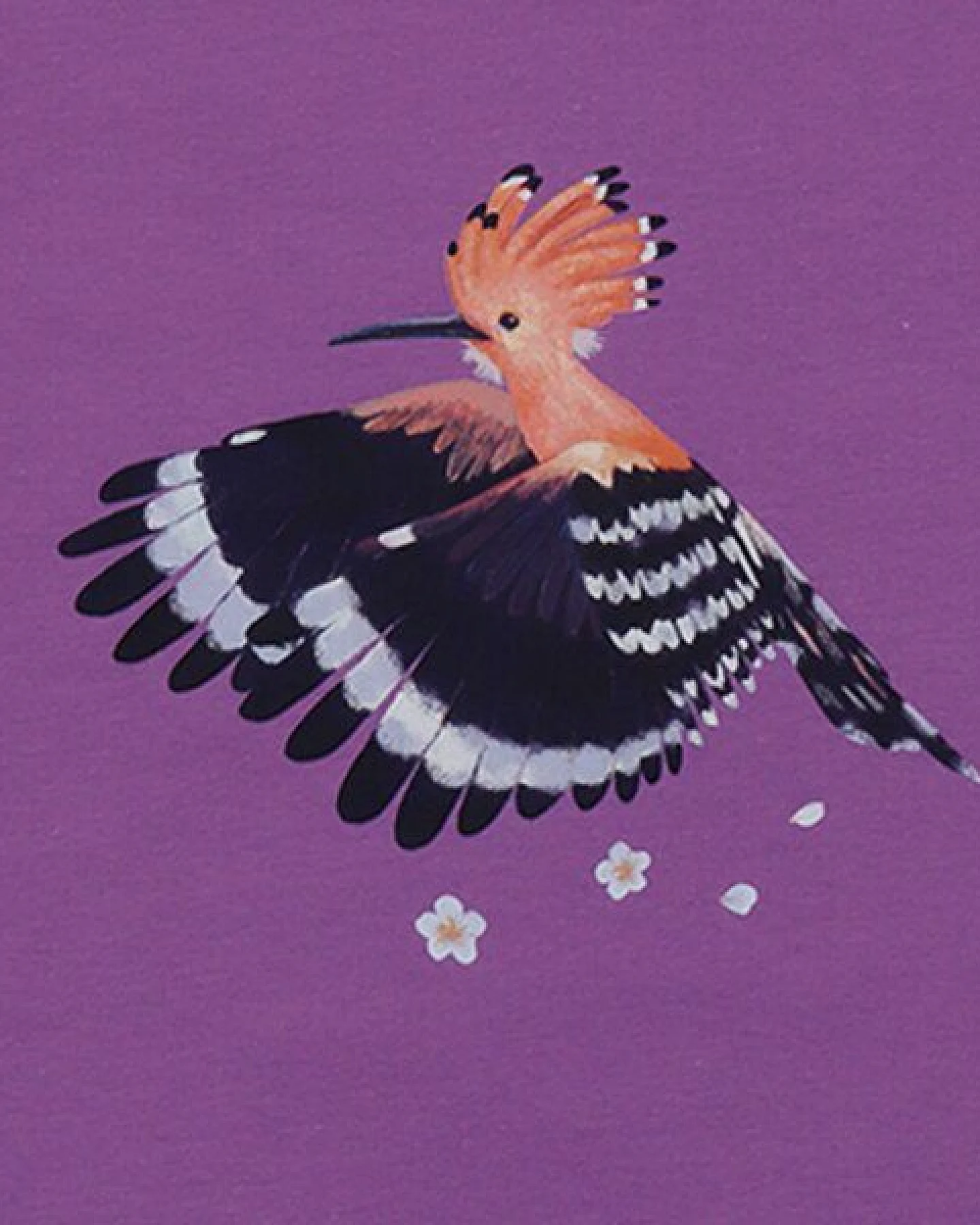 T-Shirt Lila Happy Hoopoes Vogel-Frontprint Bio-Baumwolle GOTS – Walkiddy – Ansicht 3