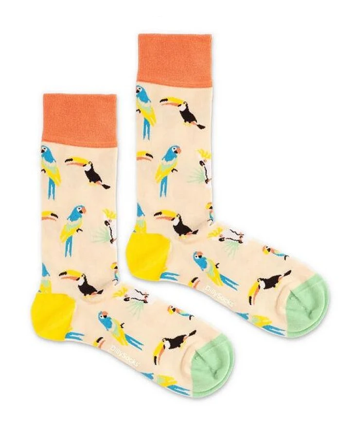 DillySocks Socken Sand Aviary aus Biobaumwoll-Mix