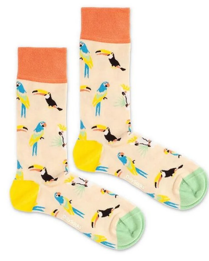 DillySocks Socken Sand Aviary aus Biobaumwoll-Mix