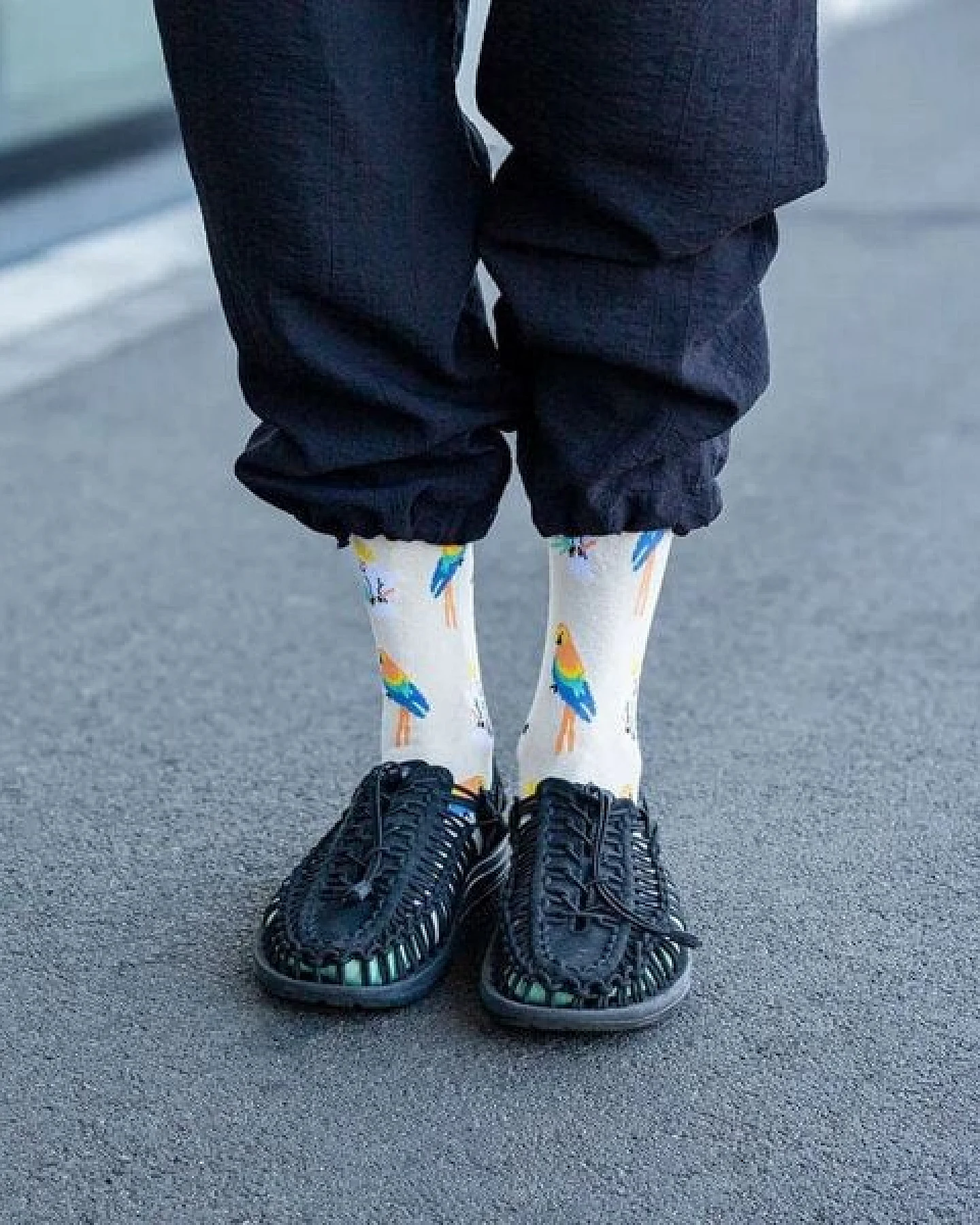 DillySocks Socken Sand Aviary aus Biobaumwoll-Mix – Ansicht 3