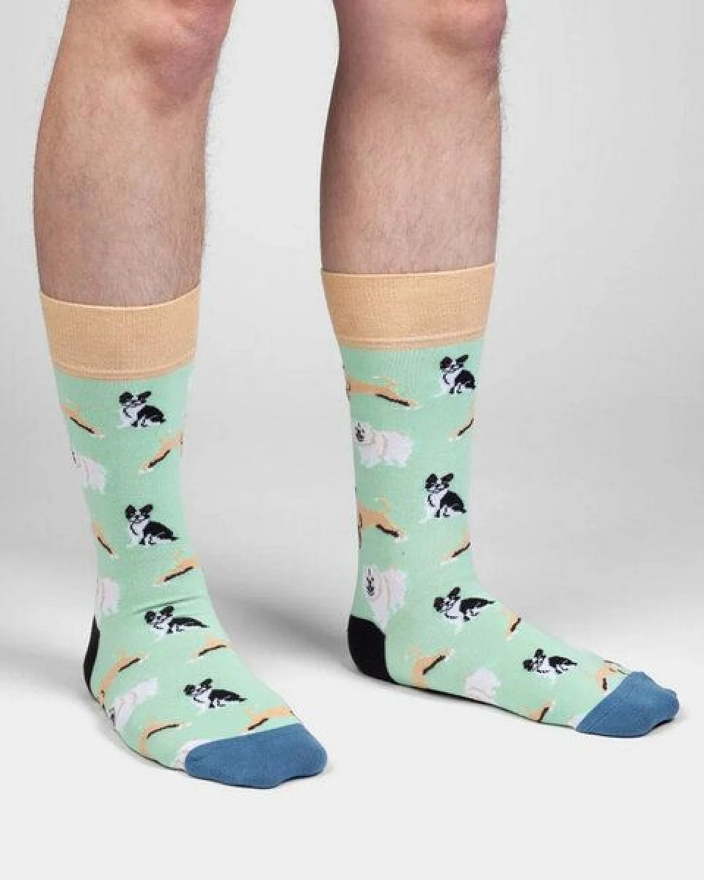 DillySocks Socken Dog Squad aus Biobaumwoll-Mix – Ansicht 4