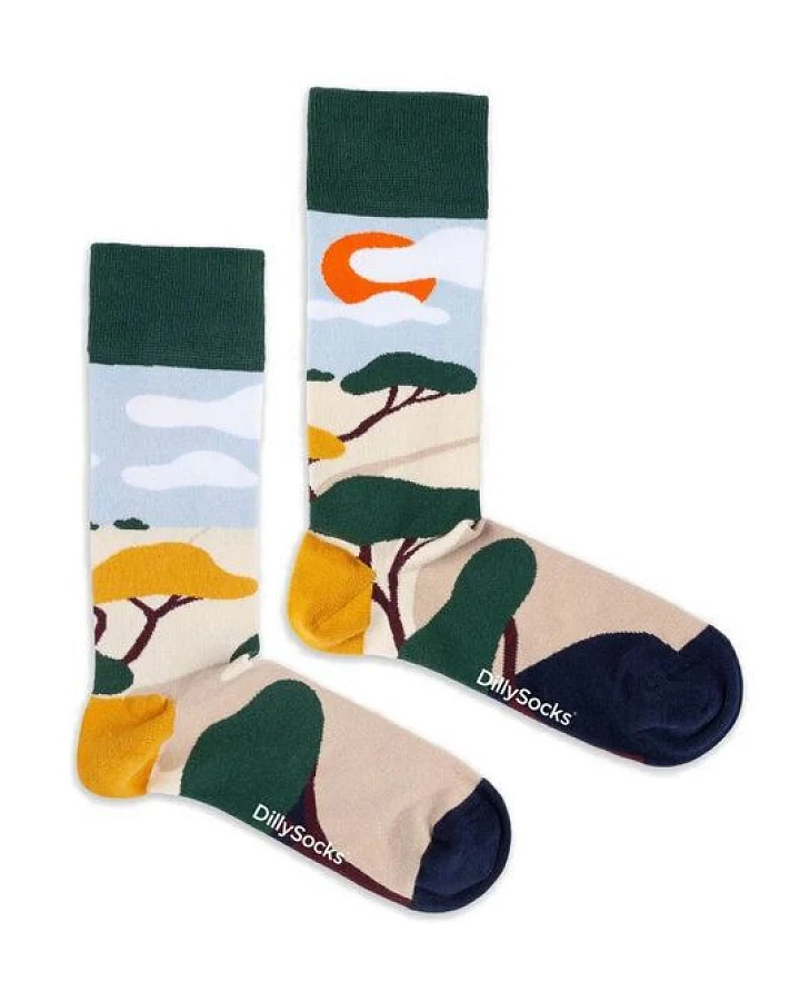 DillySocks Socken Dreamy Horizon aus Biobaumwoll-Mix
