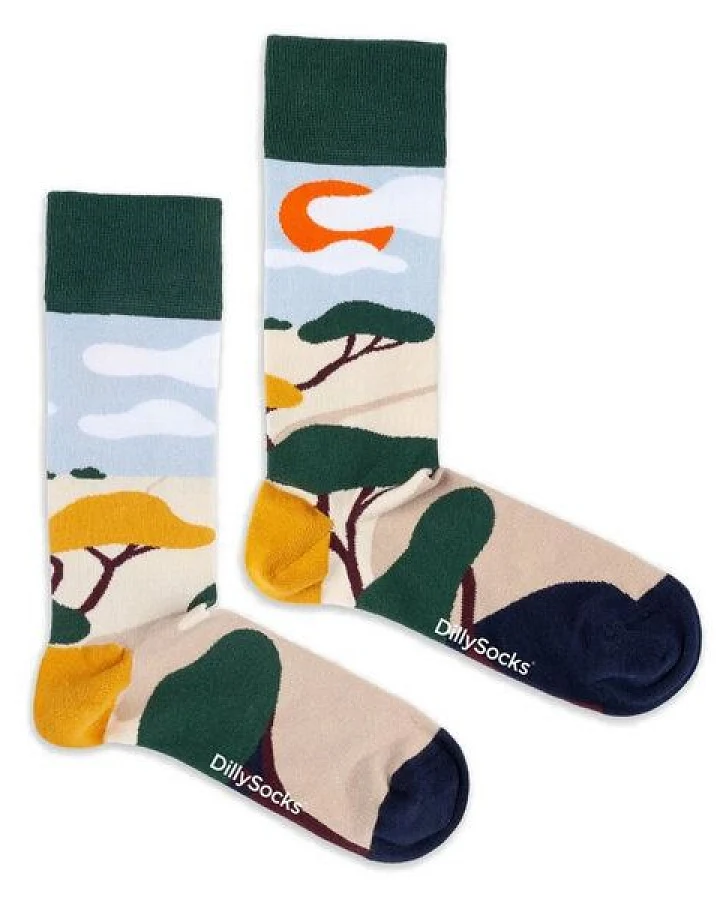 DillySocks Socken Dreamy Horizon aus Biobaumwoll-Mix