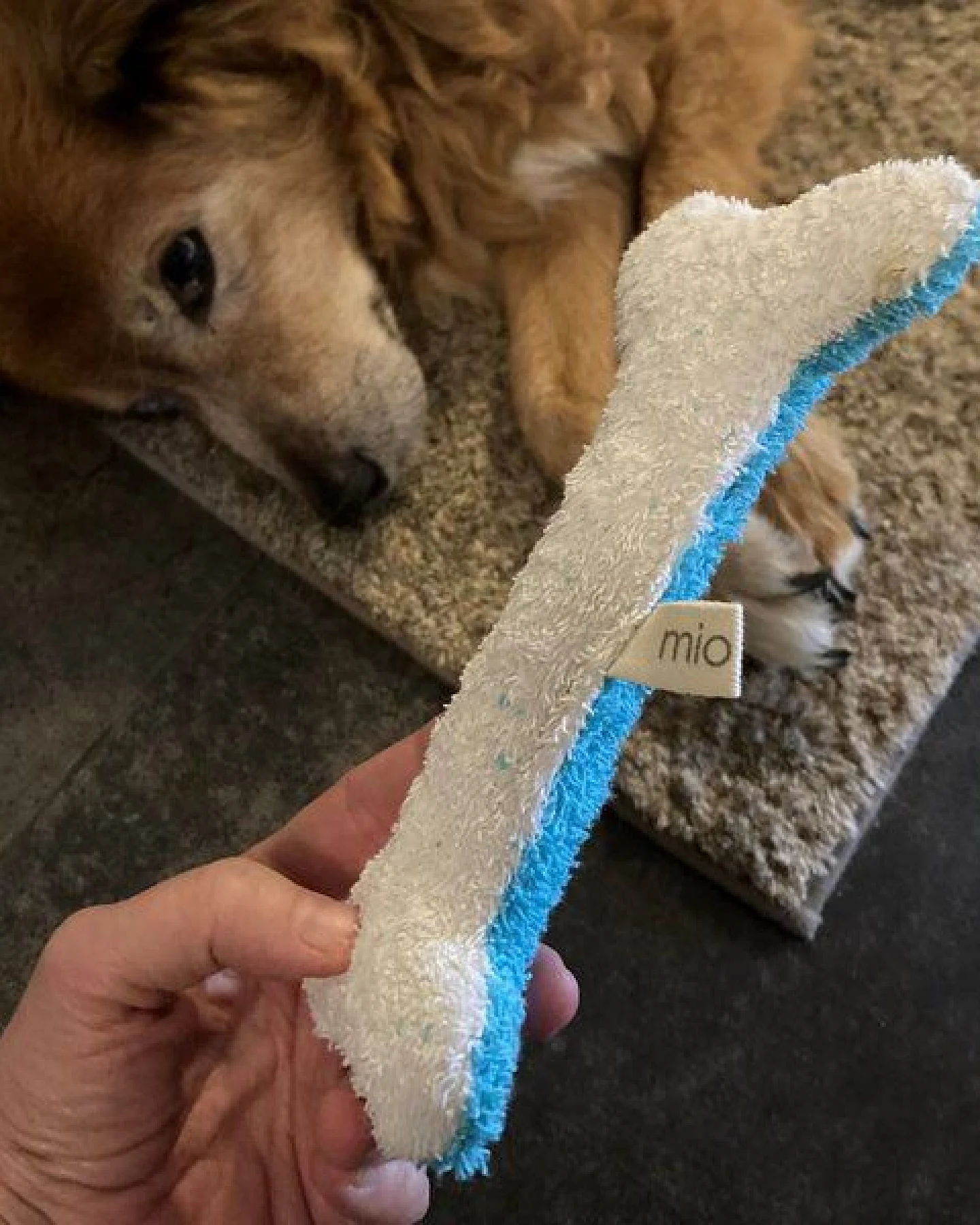 mio eco Hochwertiges Upcycling Hundespielzeug aus Hotel-Handtüchern zero waste türkis-weiss – Ansicht 3