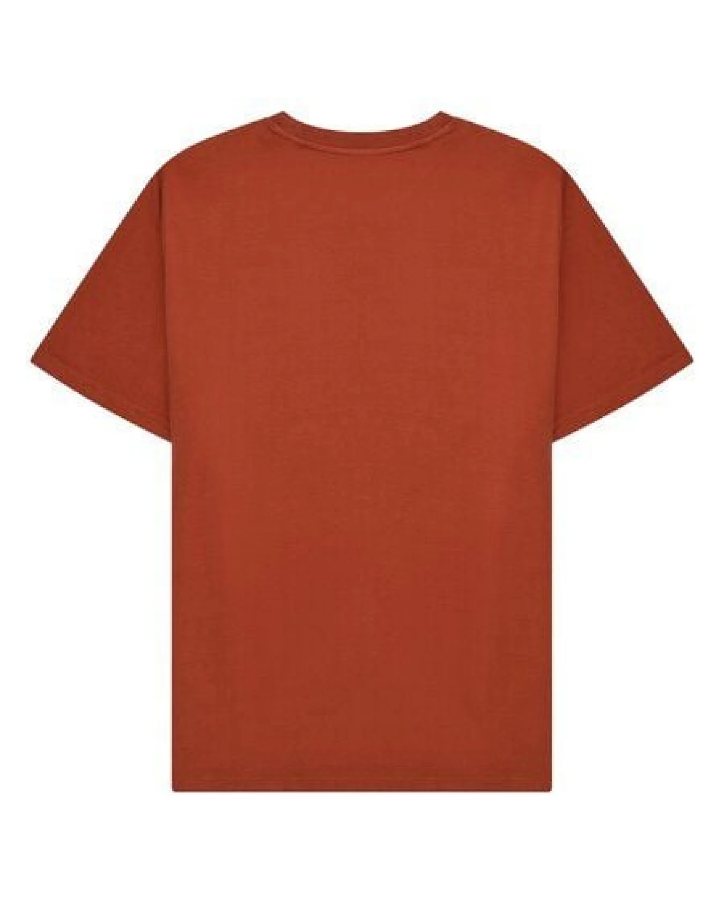 KnowledgeCotton Apparel T-Shirt mit Front-Print aus Bio-Baumwolle – Ansicht 4