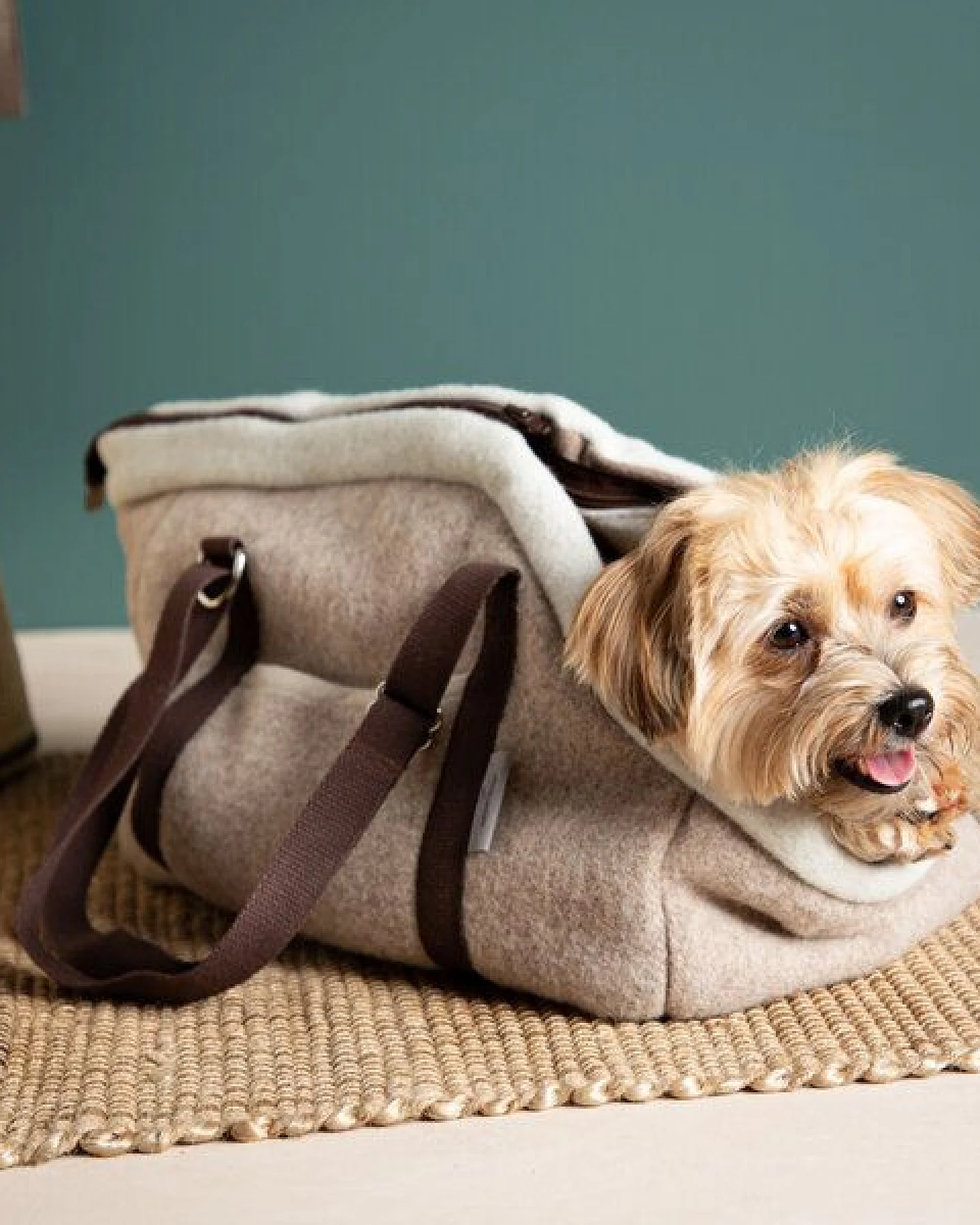 nahtur-design Hundetasche Beige – 100 % Schurwolle Loden – Ansicht 3