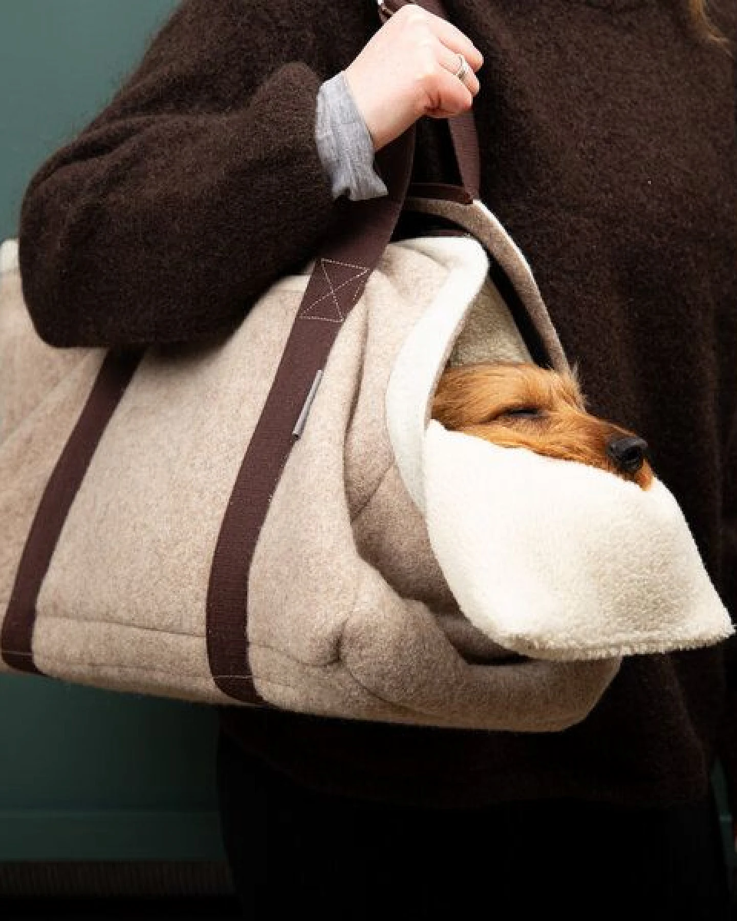 nahtur-design Hundetasche Beige – 100 % Schurwolle Loden – Ansicht 2