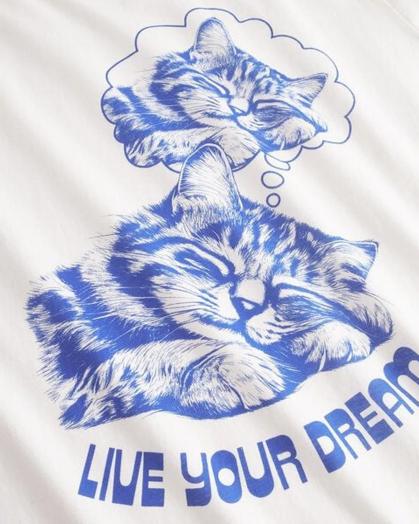 DEDICATED T-Shirt aus Biobaumwolle "Vadstena" - Live Your Dream – Ansicht 2