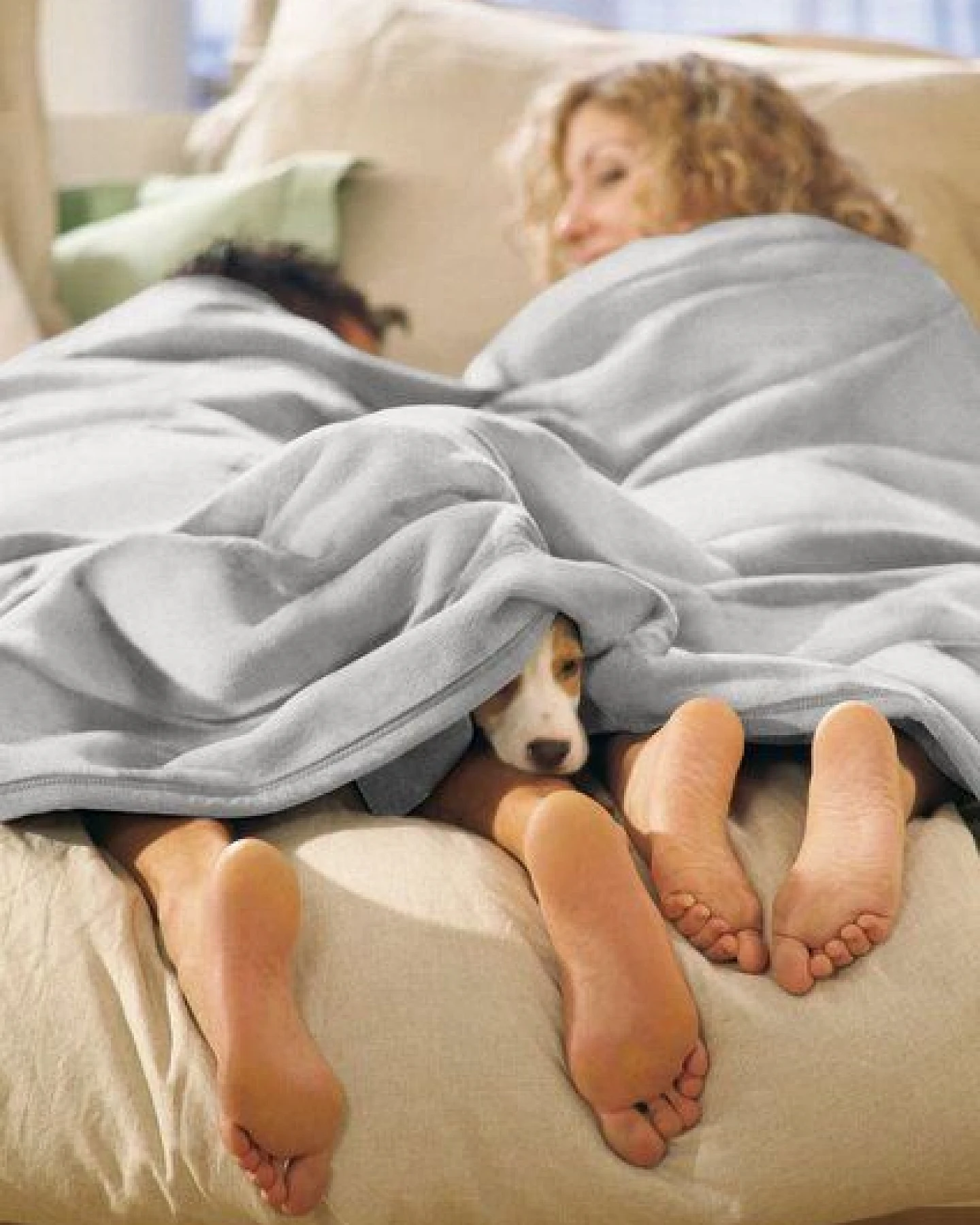 biederlack Wohn- und Kuscheldecke "Pure Cotton" tolle Farben – Ansicht 2