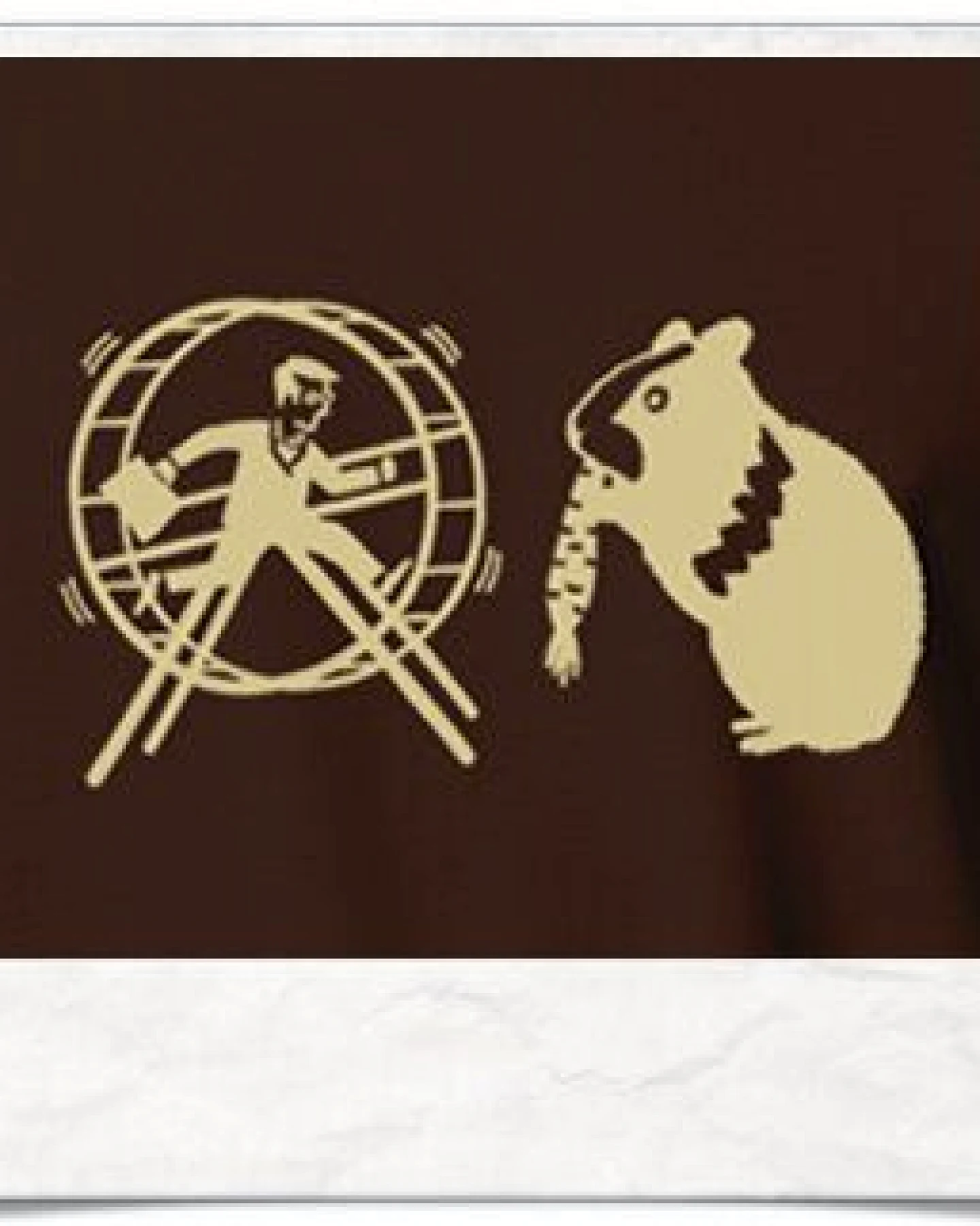 Picopoc T-Shirt Hamster und das Hamsterrad in Braun – Ansicht 2