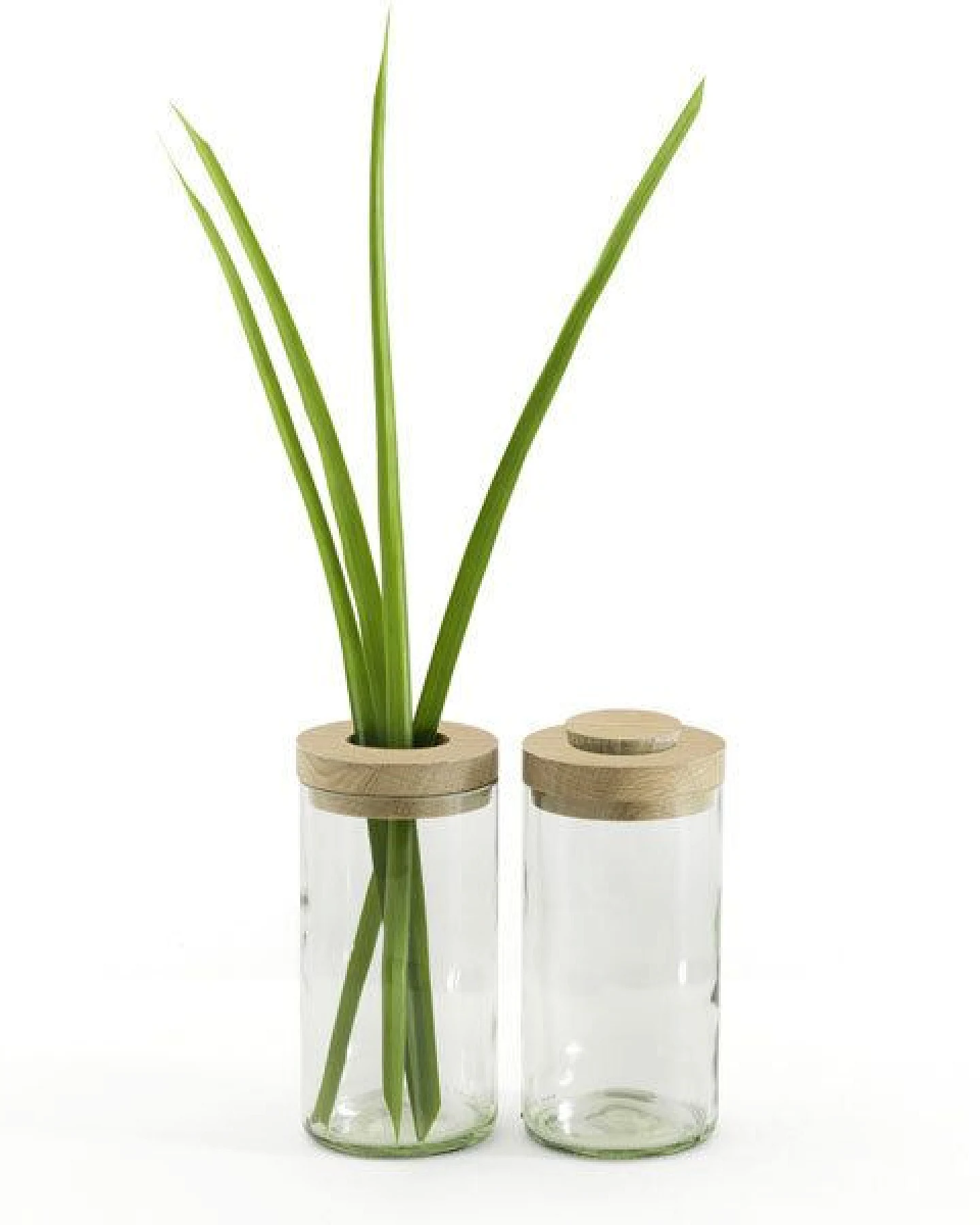Side by Side "Vase & Dose" – Ansicht 3