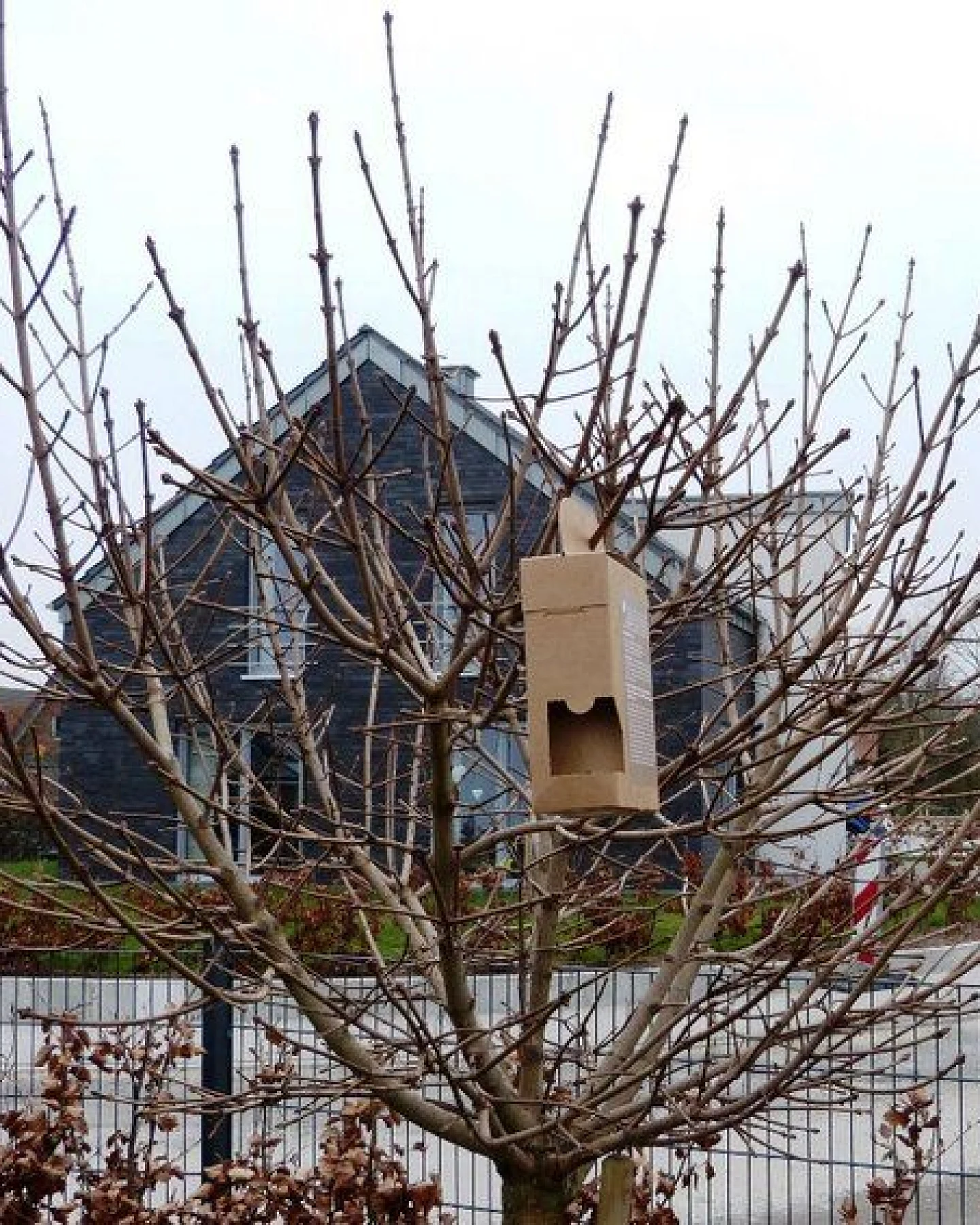 ARIES Futterhaus „Bird Box“ (nachfüllbar) – Ansicht 3