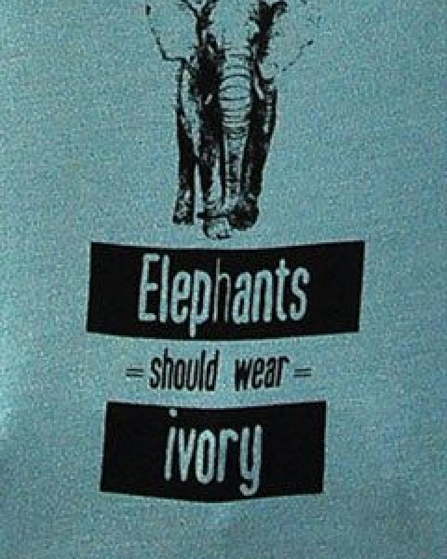 Human Family Damen Modal Shirt "Only Elephants should wear Ivory" – Ansicht 3