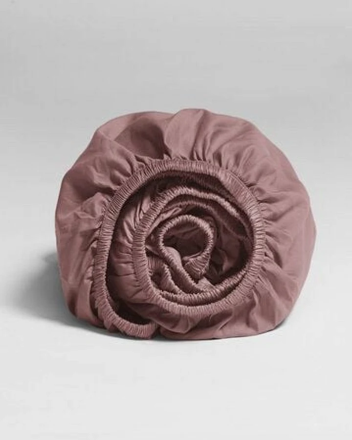 Blush Rose