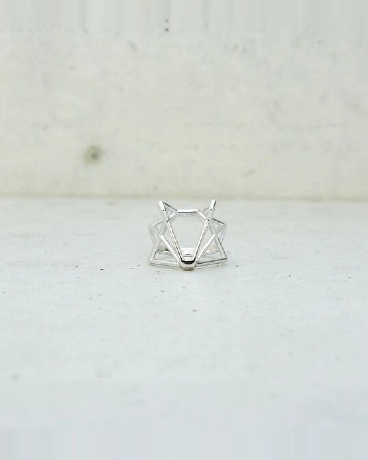 veroikon foxtastic ring