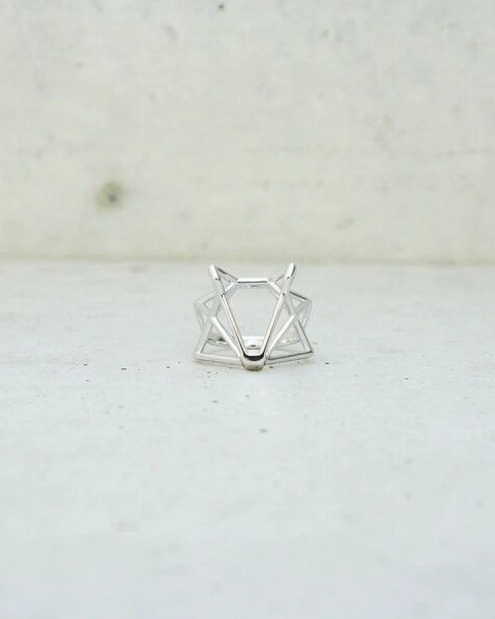 veroikon foxtastic ring