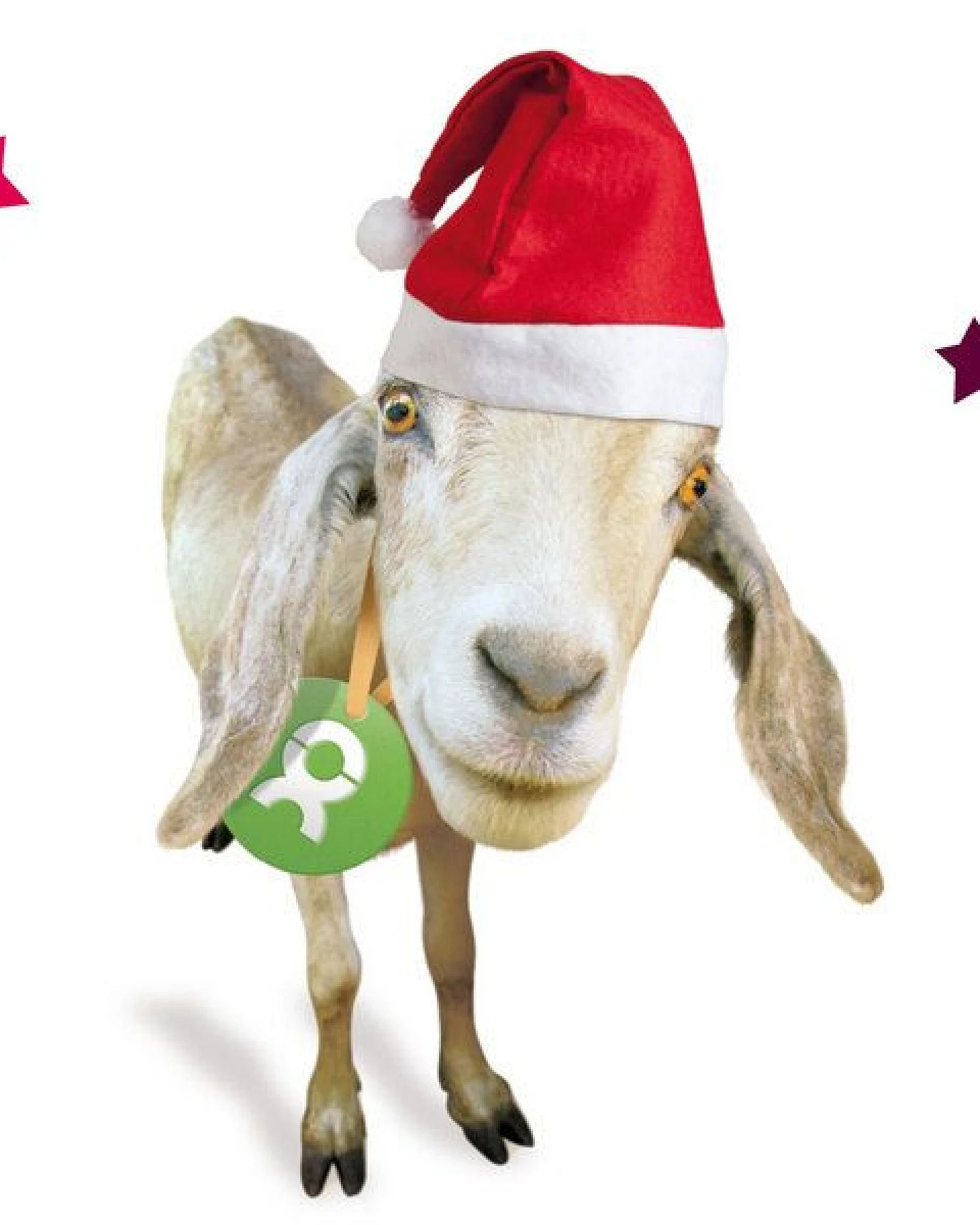 OxfamUnverpackt Spenden-Geschenk "Ziege" (Weihnachtskarte mit Magnet) – Ansicht 3