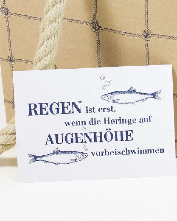 Bow & Hummingbird Postkarte Regen ist ...