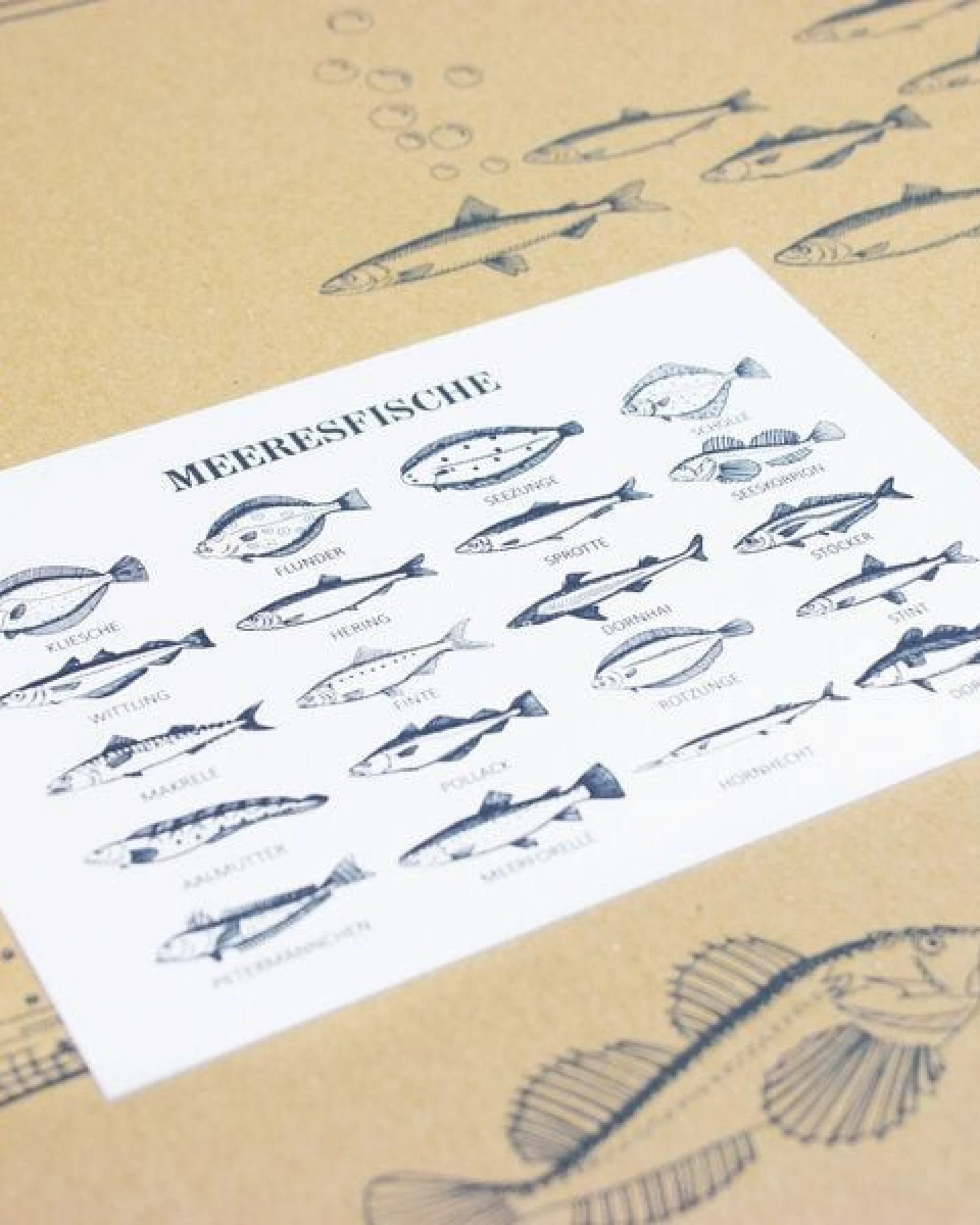 Bow & Hummingbird Postkarte Meeresfische – Ansicht 2