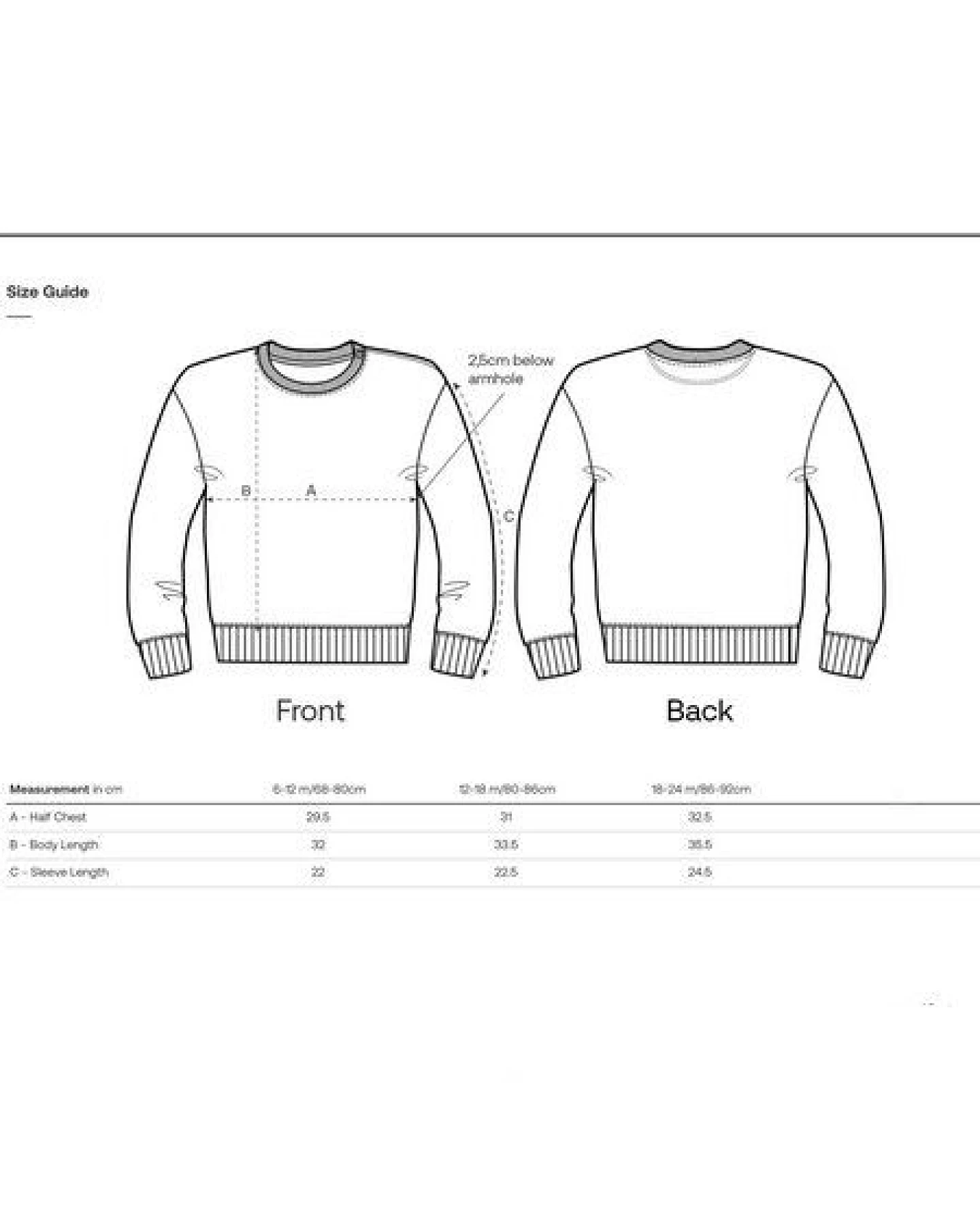 MELAdi Kinder Baby - Sweater aus Biobaumwolle - Chamäleon auf Natural Raw – Ansicht 2